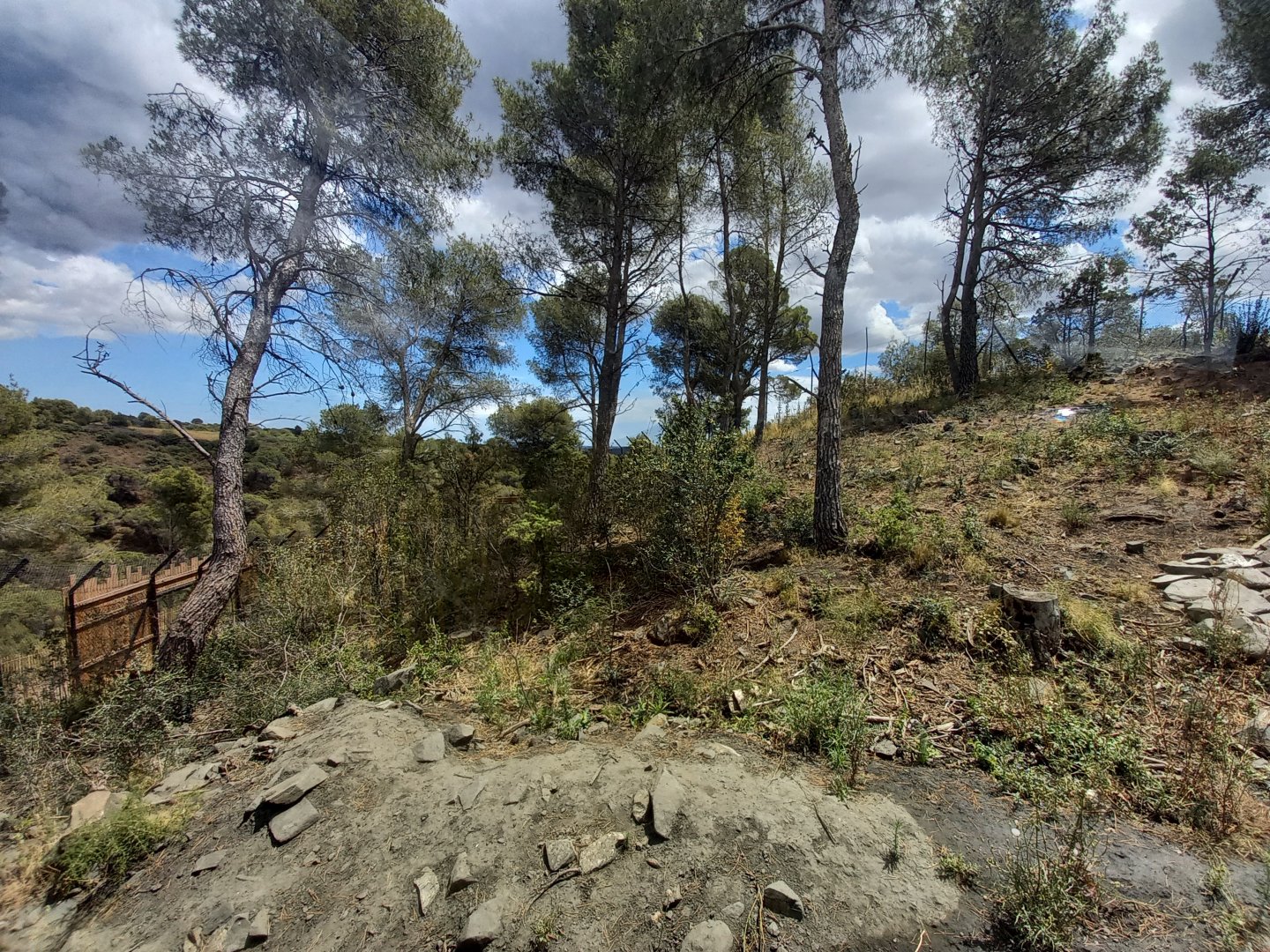 Ecozonia - Chinese dhole breeding pair enclosure