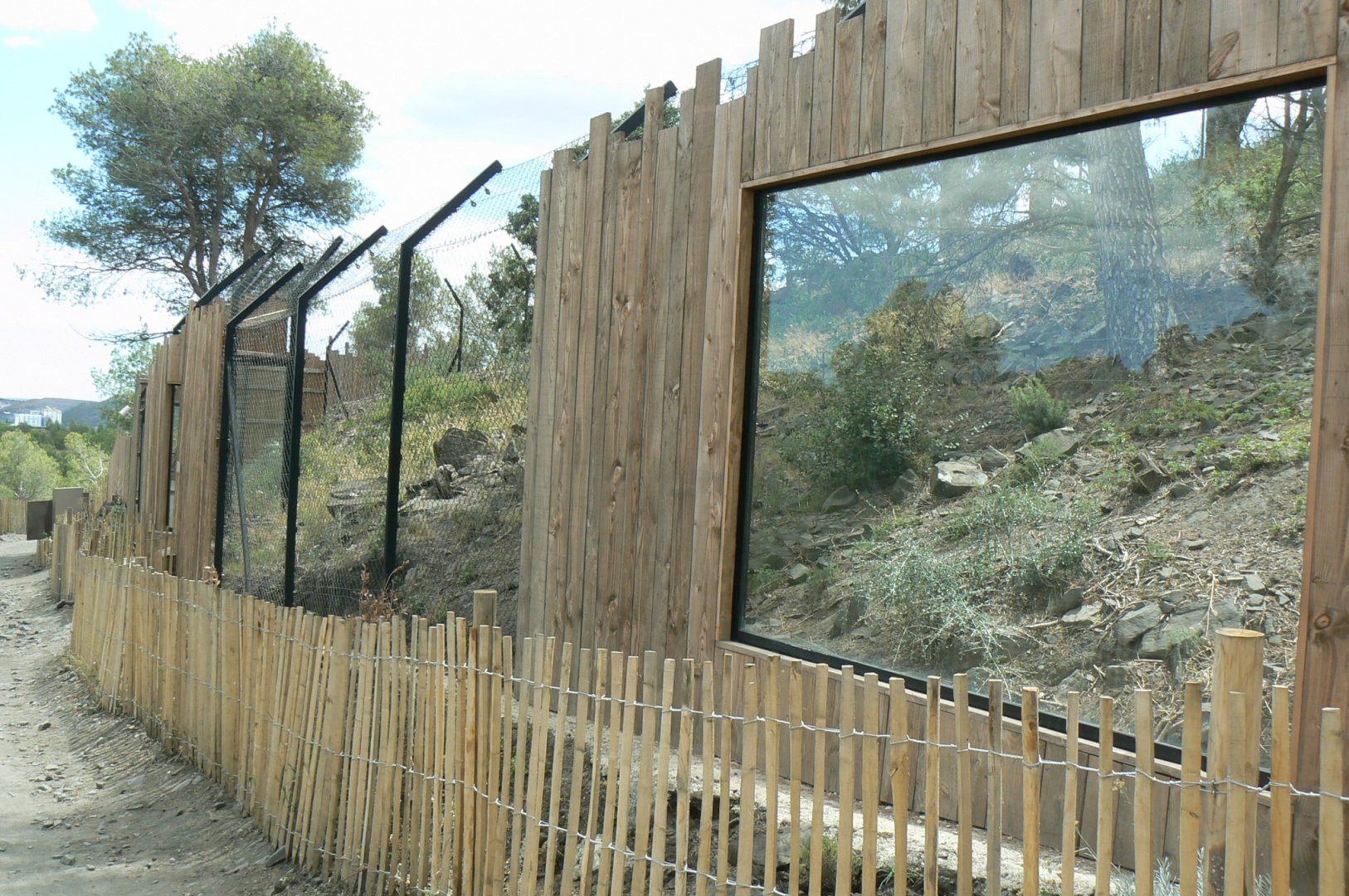 Ecozonia - Chinese dhole breeding pair enclosure