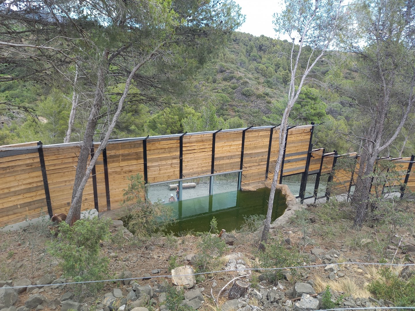 Ecozonia - European brown bears and eurasian wolves enclosure