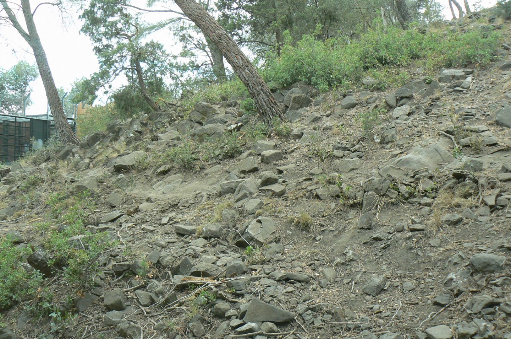 Ecozonia - European brown bears and eurasian wolves enclosure