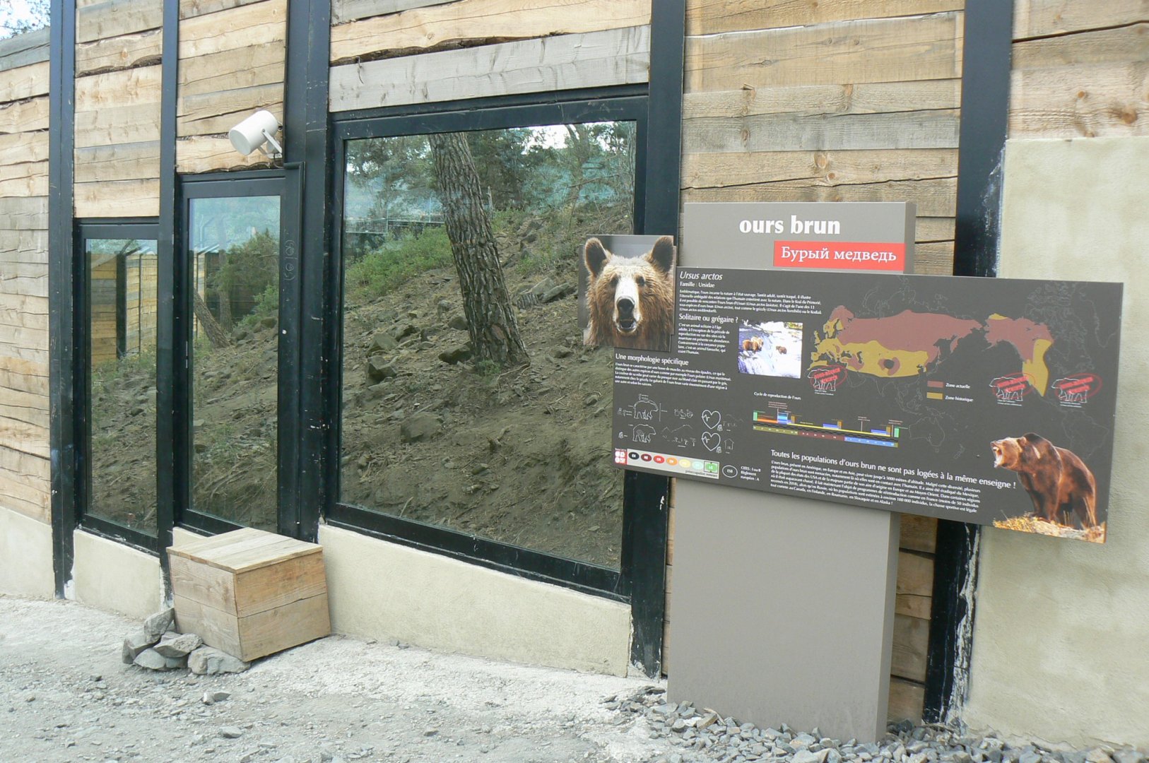 Ecozonia - European brown bears and eurasian wolves enclosure