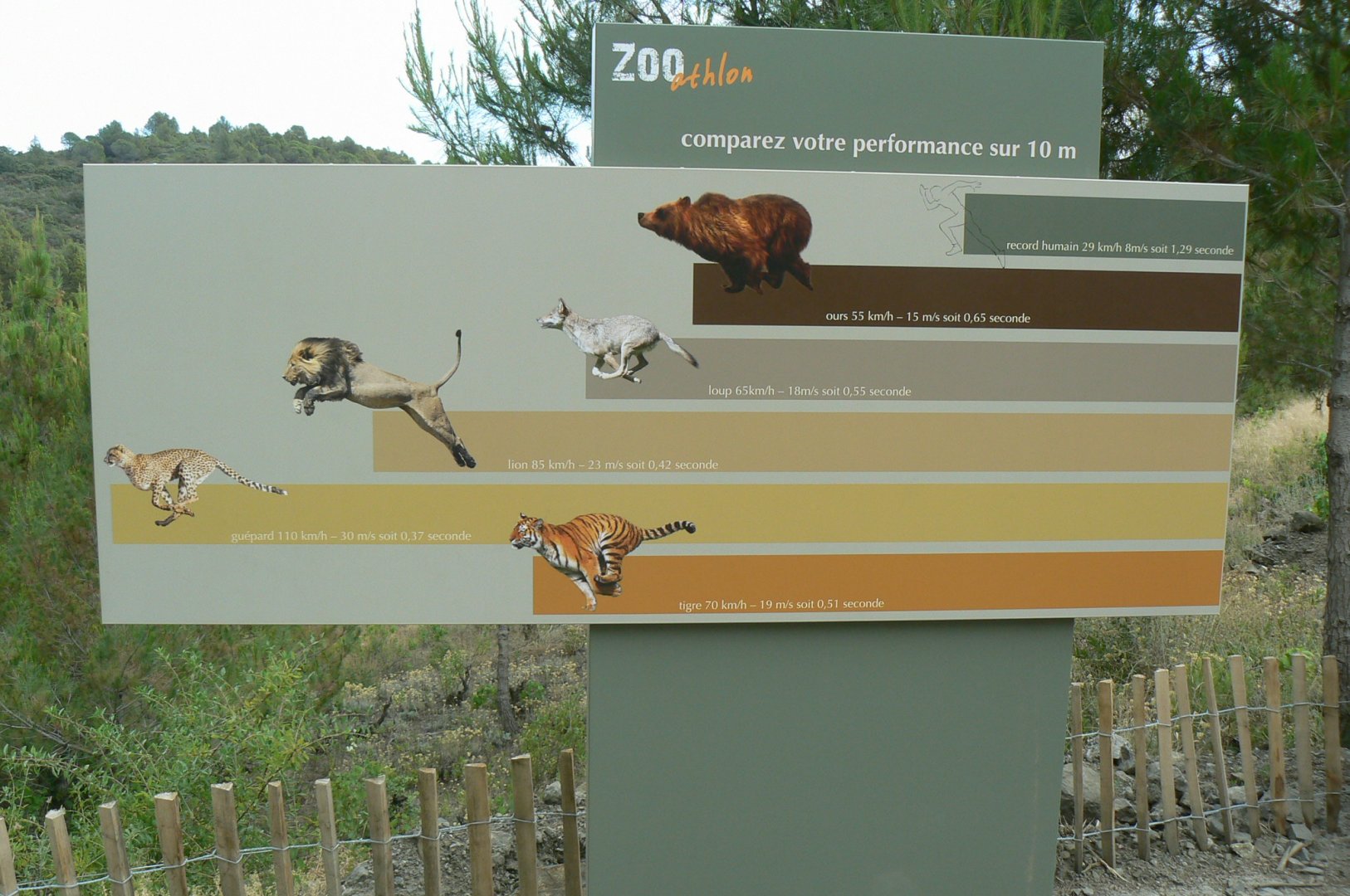 Ecozonia - Game on predators velocity