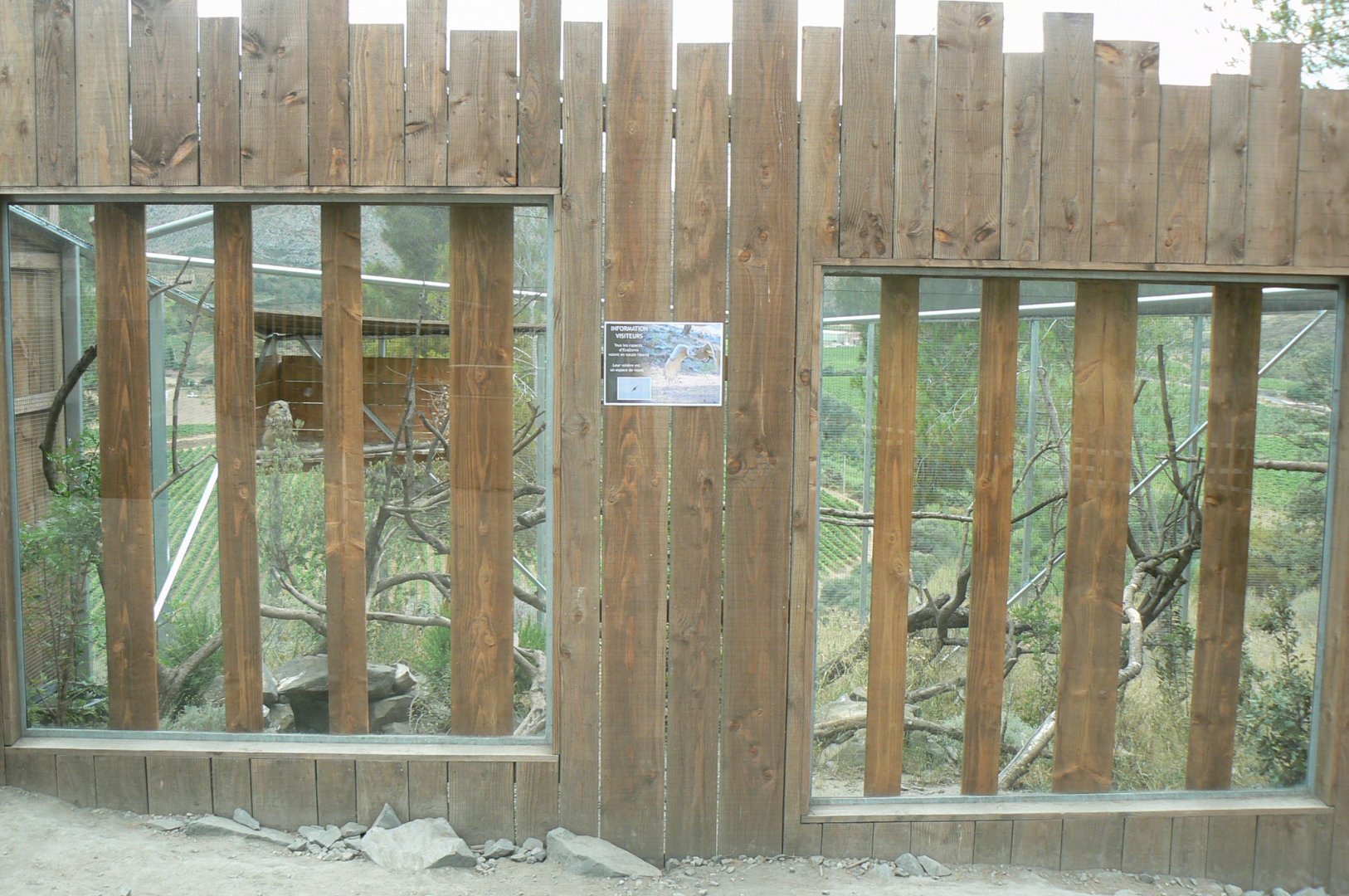 Ecozonia - Great grey-owl and eurasian eagle-owls aviary