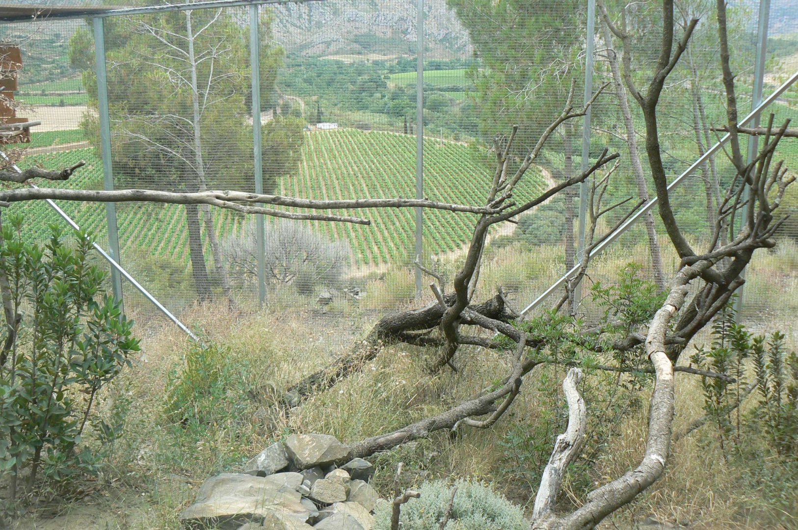Ecozonia - Great grey-owl and eurasian eagle-owls aviary