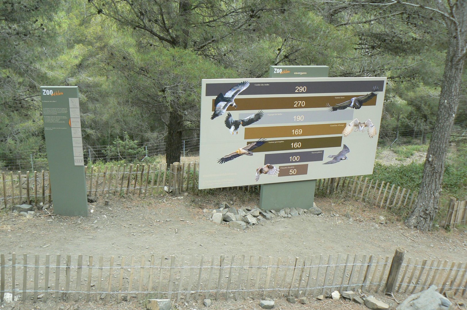 Ecozonia - Information panel on birds fo prey size