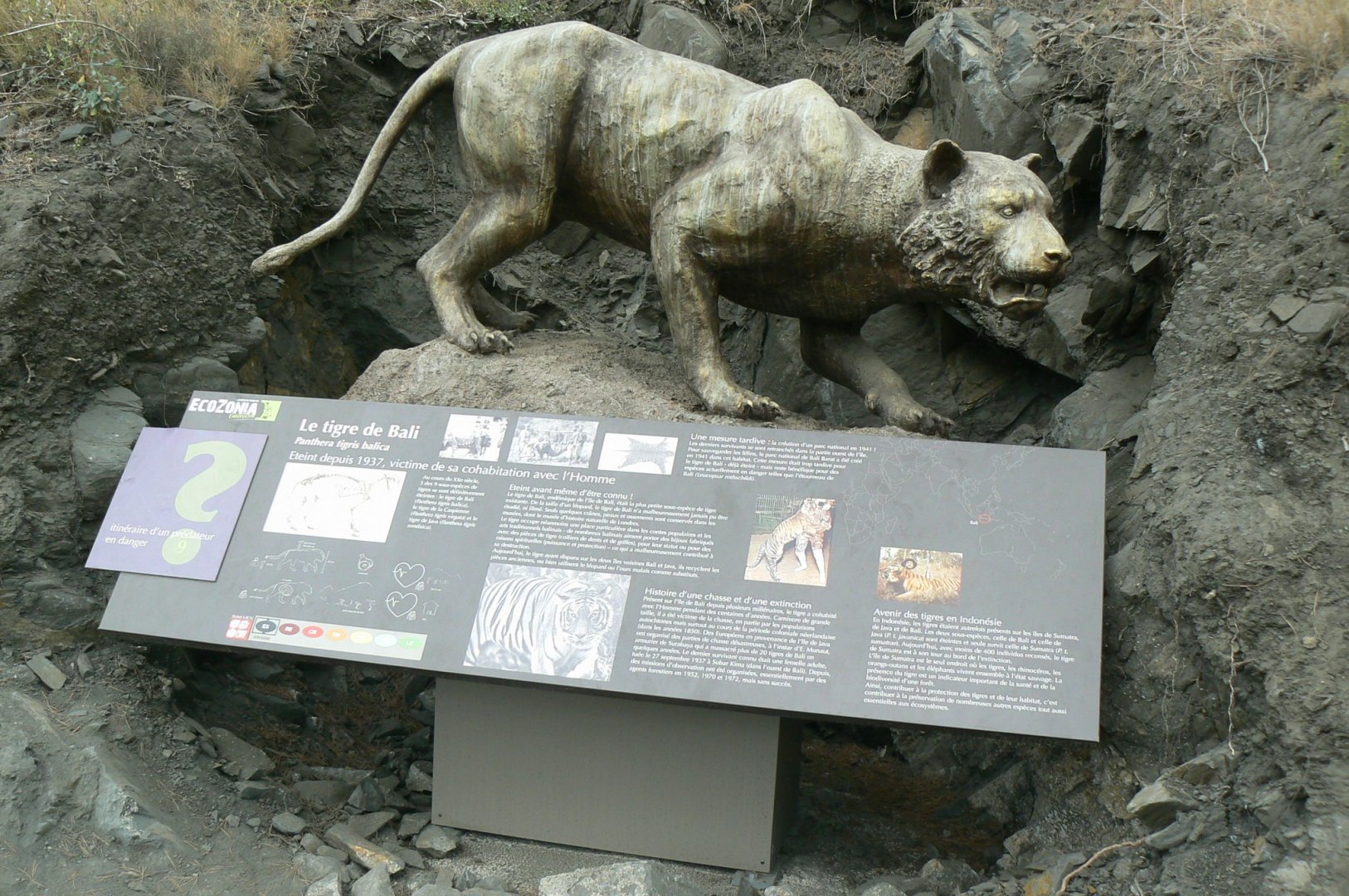 Ecozonia - Information panel on extinct Bali tiger