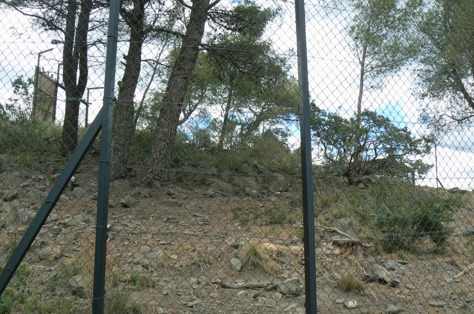 Ecozonia - Main wolverines enclosure