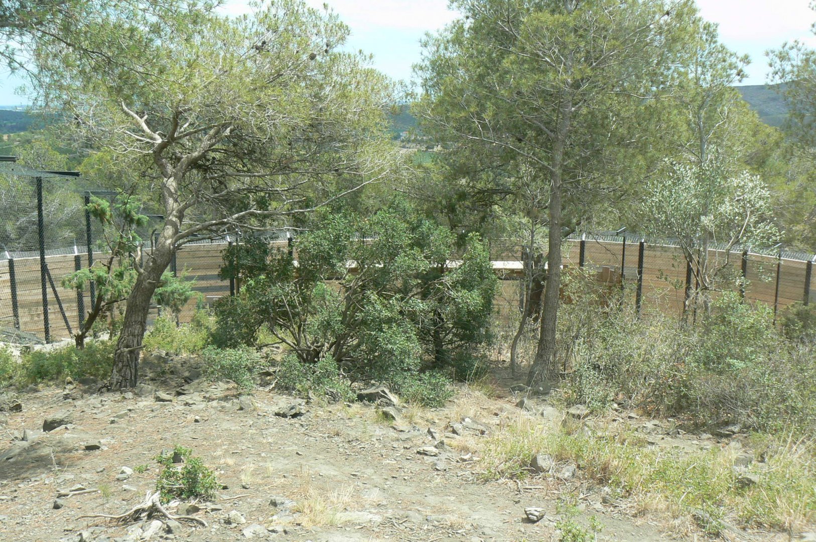 Ecozonia - Main wolverines enclosure
