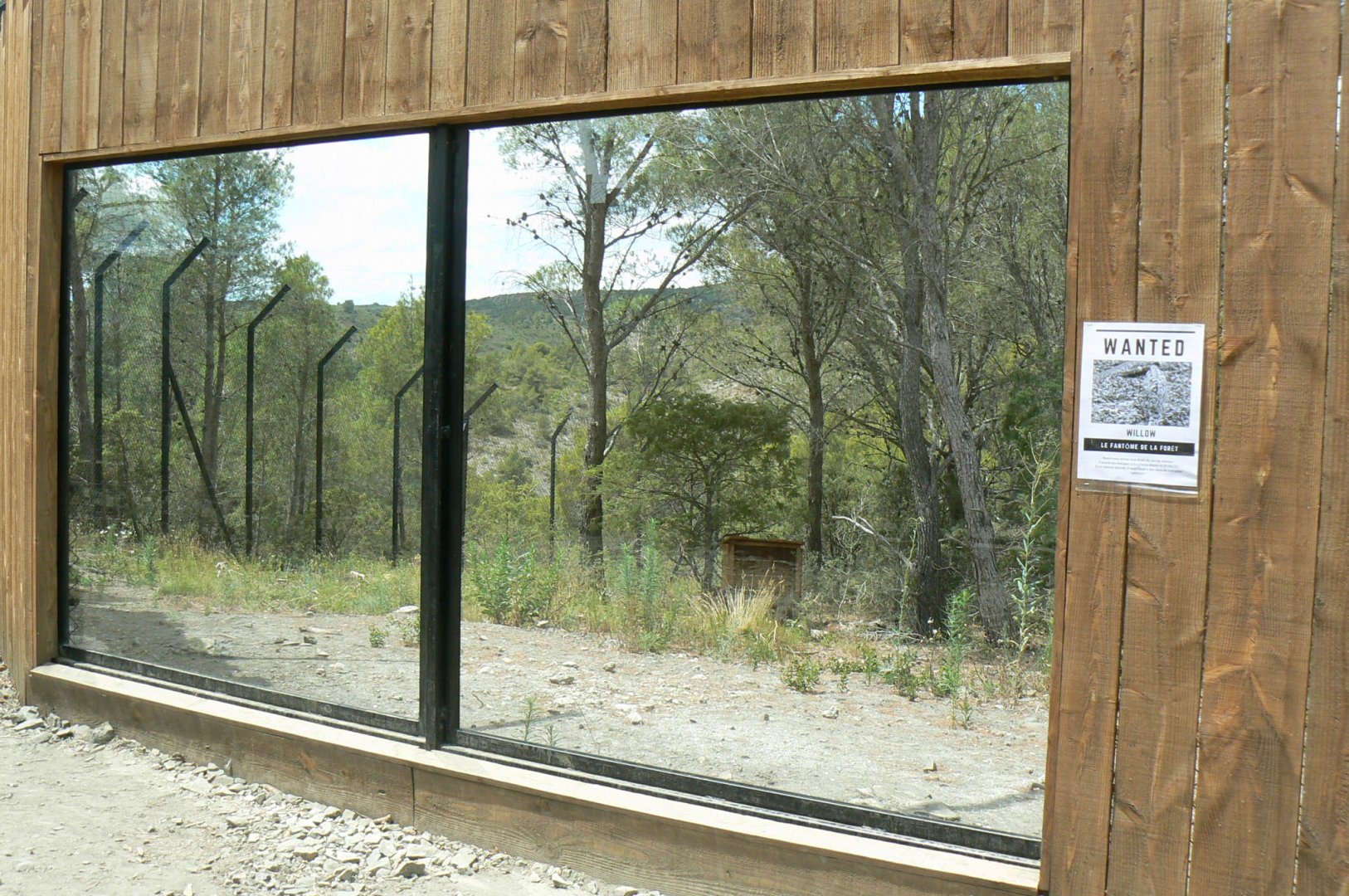 Ecozonia - Northen lynx enclosure