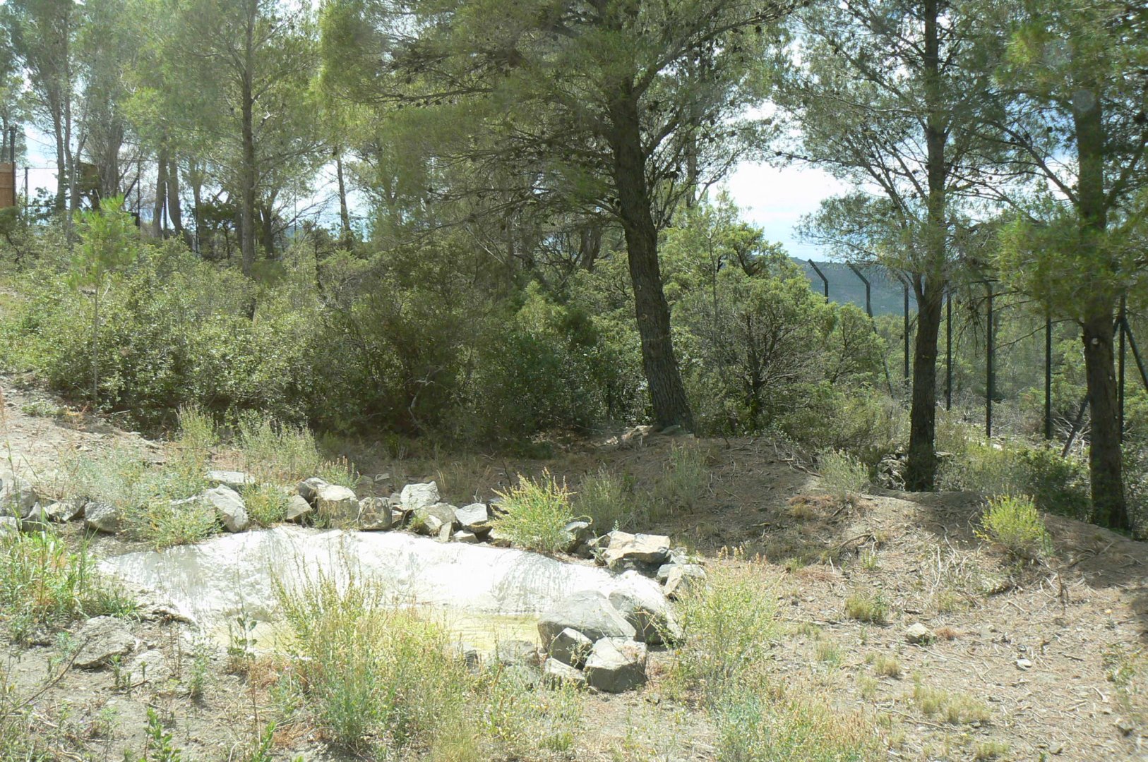 Ecozonia - Northen lynx enclosure