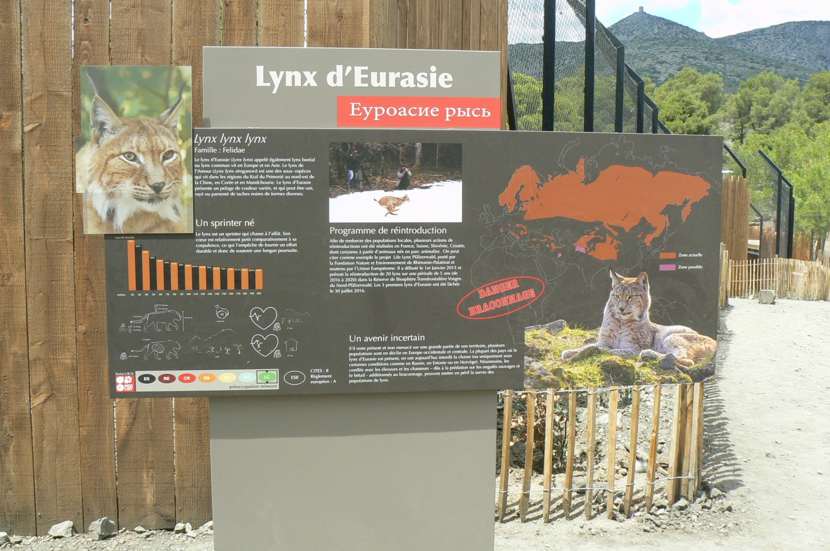 Ecozonia - Northen lynx signage