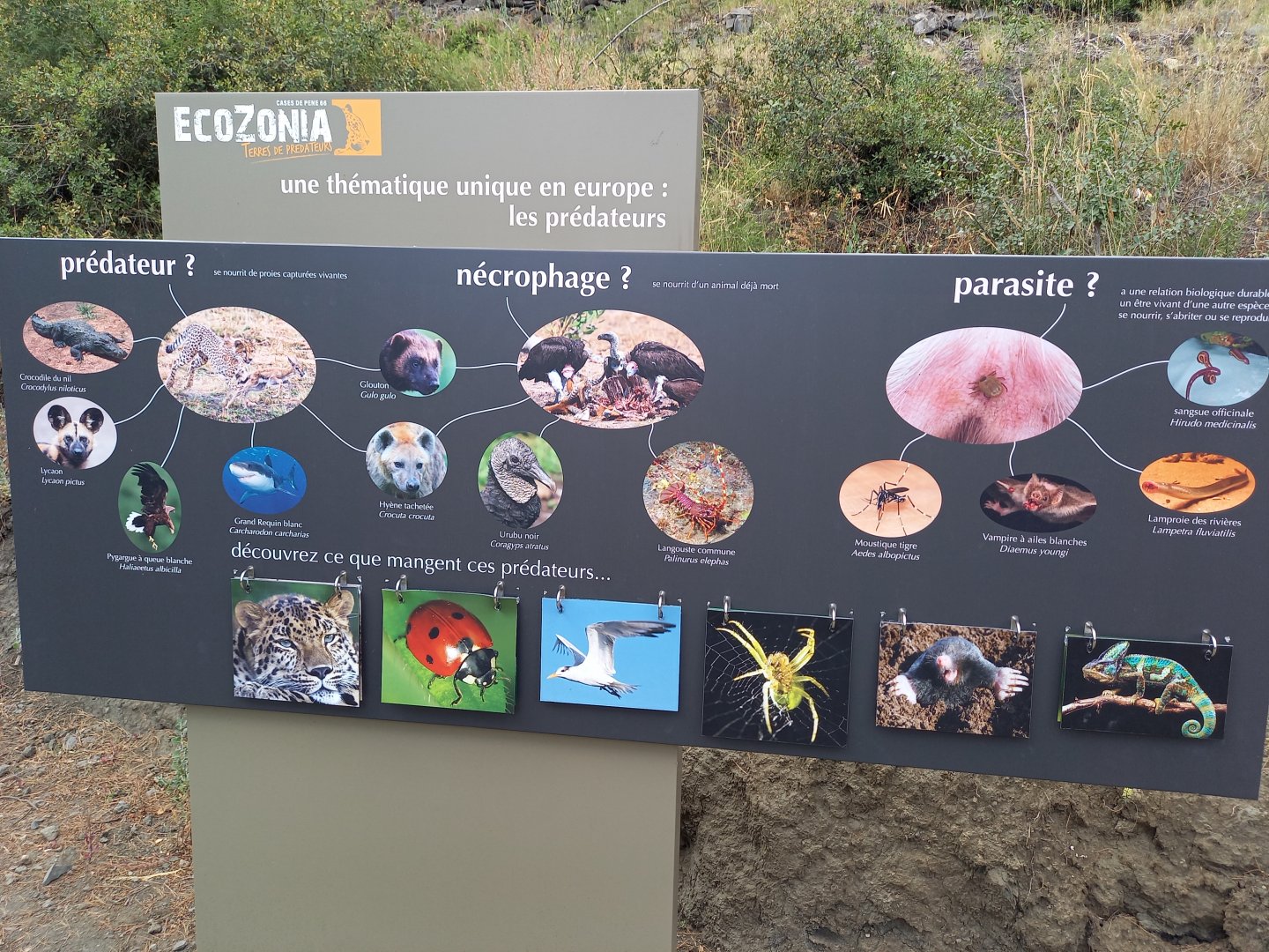 Ecozonia - Park concept explanatory sign
