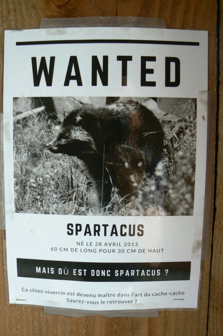 Ecozonia - Raccoon dog Spartacus sign