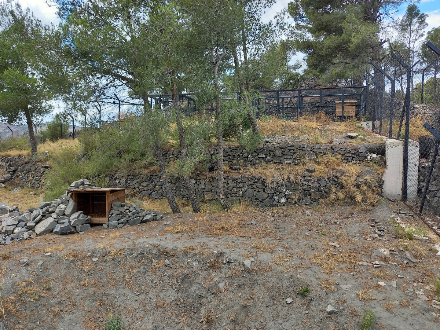 Ecozonia - Raccoon dogs enclosure