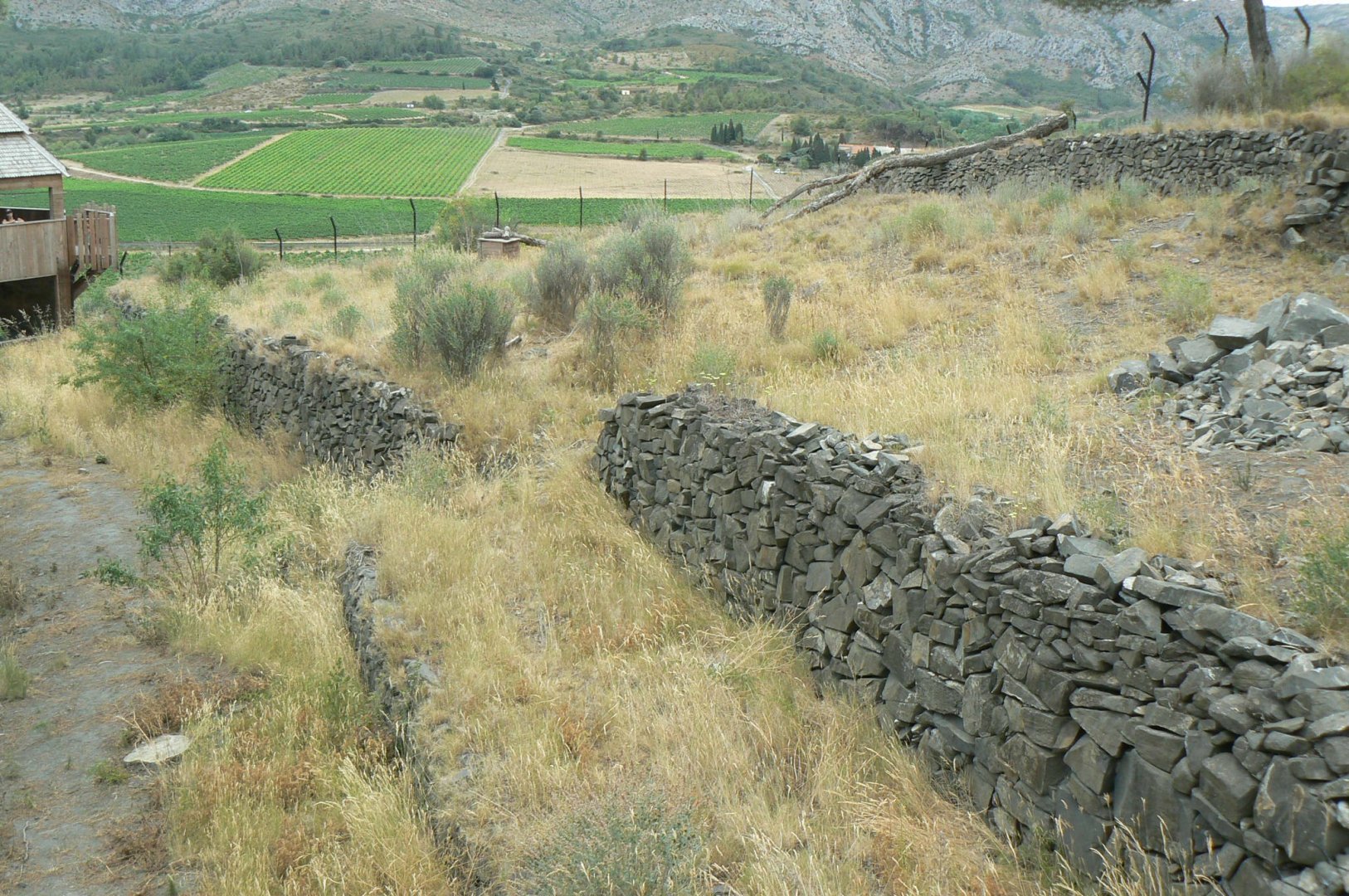 Ecozonia - Raccoon dogs enclosure