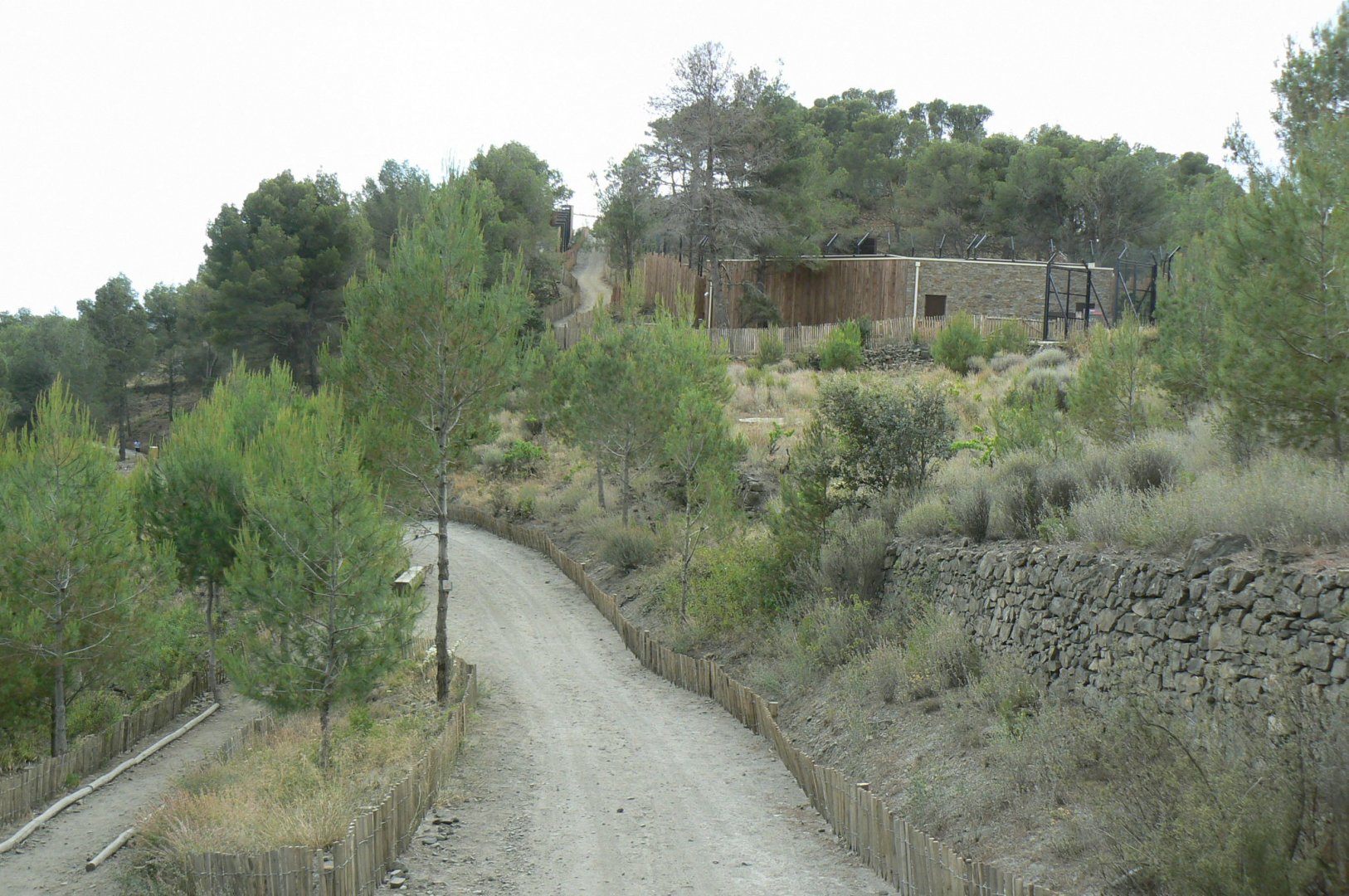 Ecozonia - Return path to the entrance