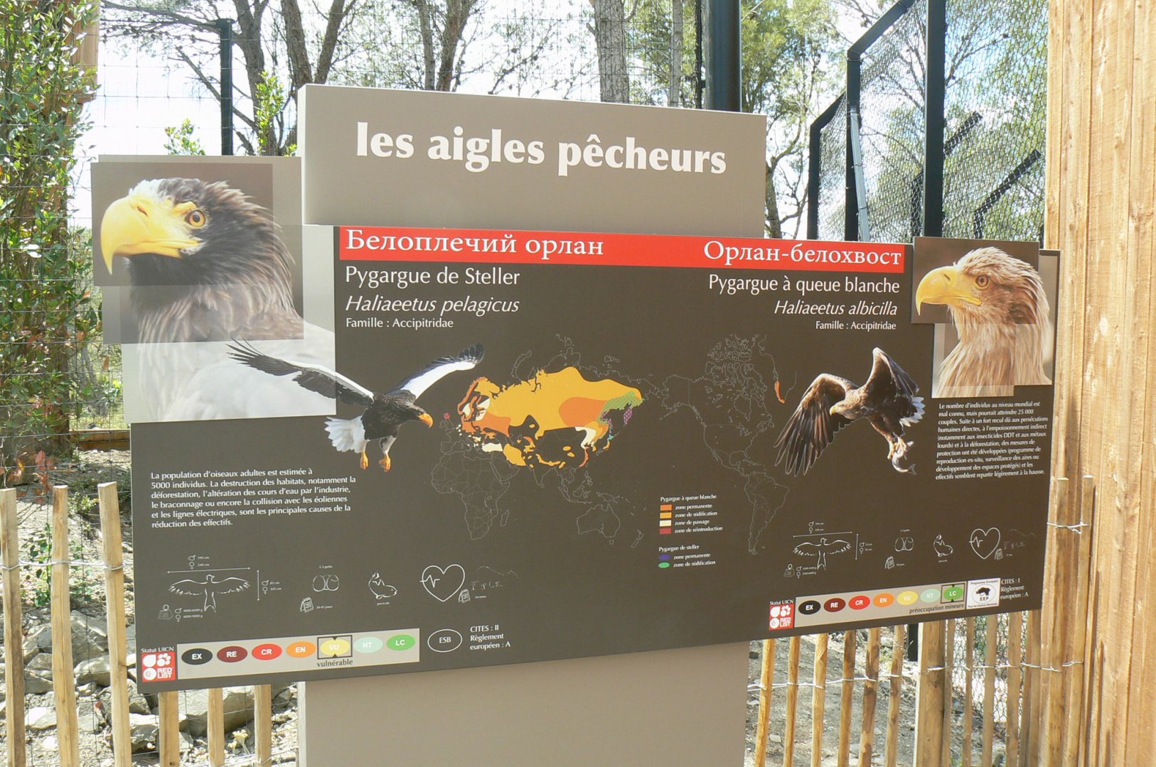 Ecozonia - Sea eagle sign