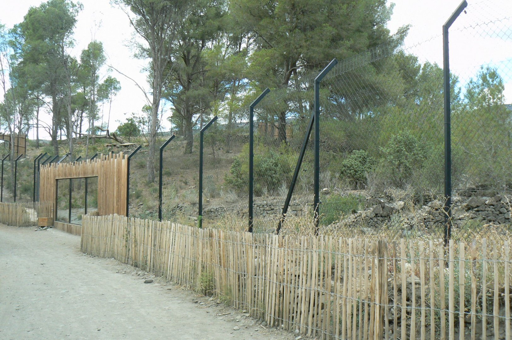 Ecozonia - Second chines dholes enclosure