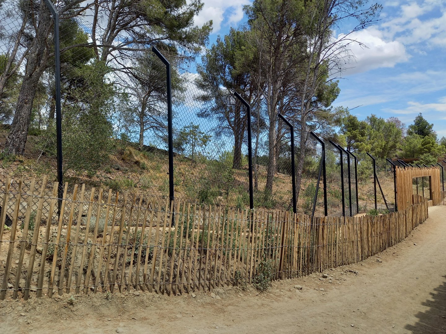 Ecozonia - Second chinese dholes enclosure