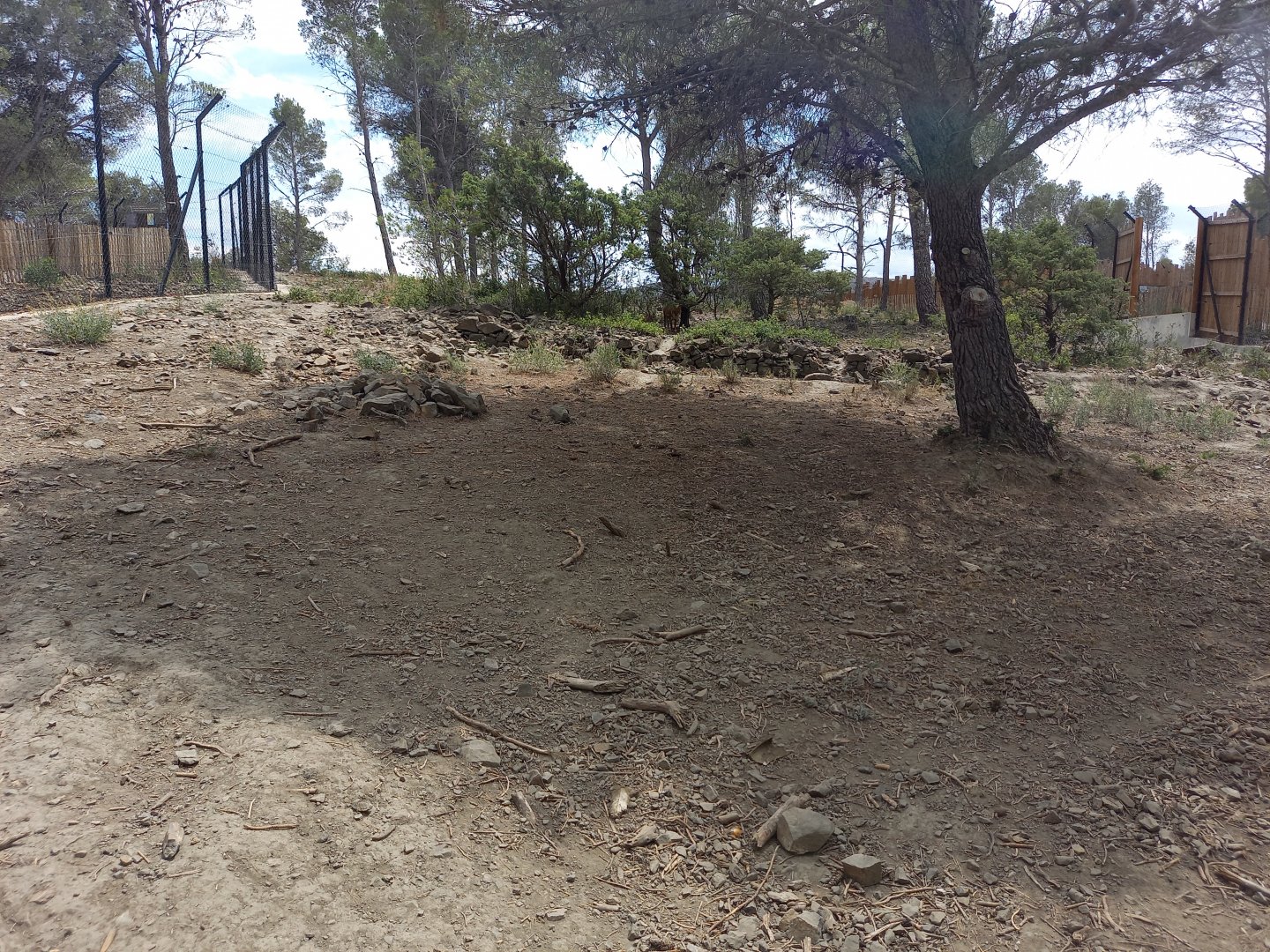 Ecozonia - Second chinese dholes enclosure