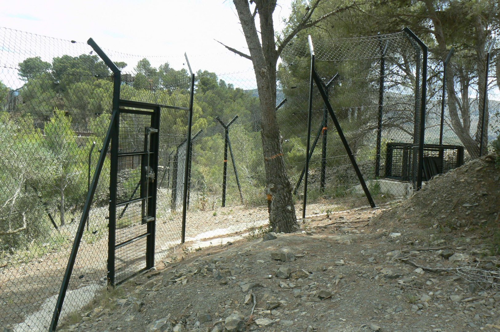 Ecozonia - Separation pen for chinese dholes