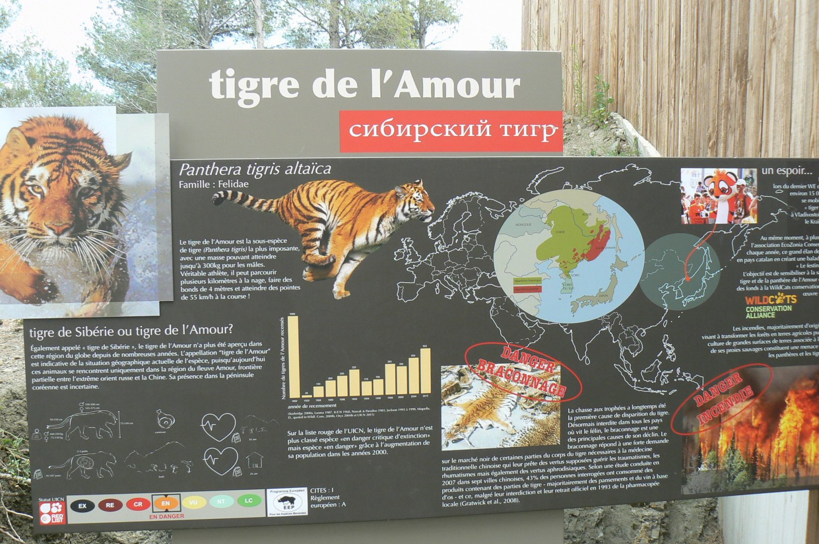 Ecozonia - Siberian tiger sign