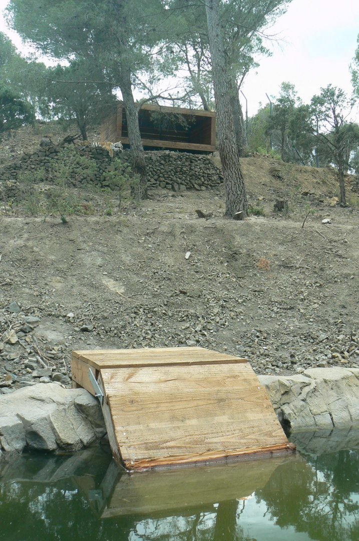 Ecozonia - Siberian tigers enclosure