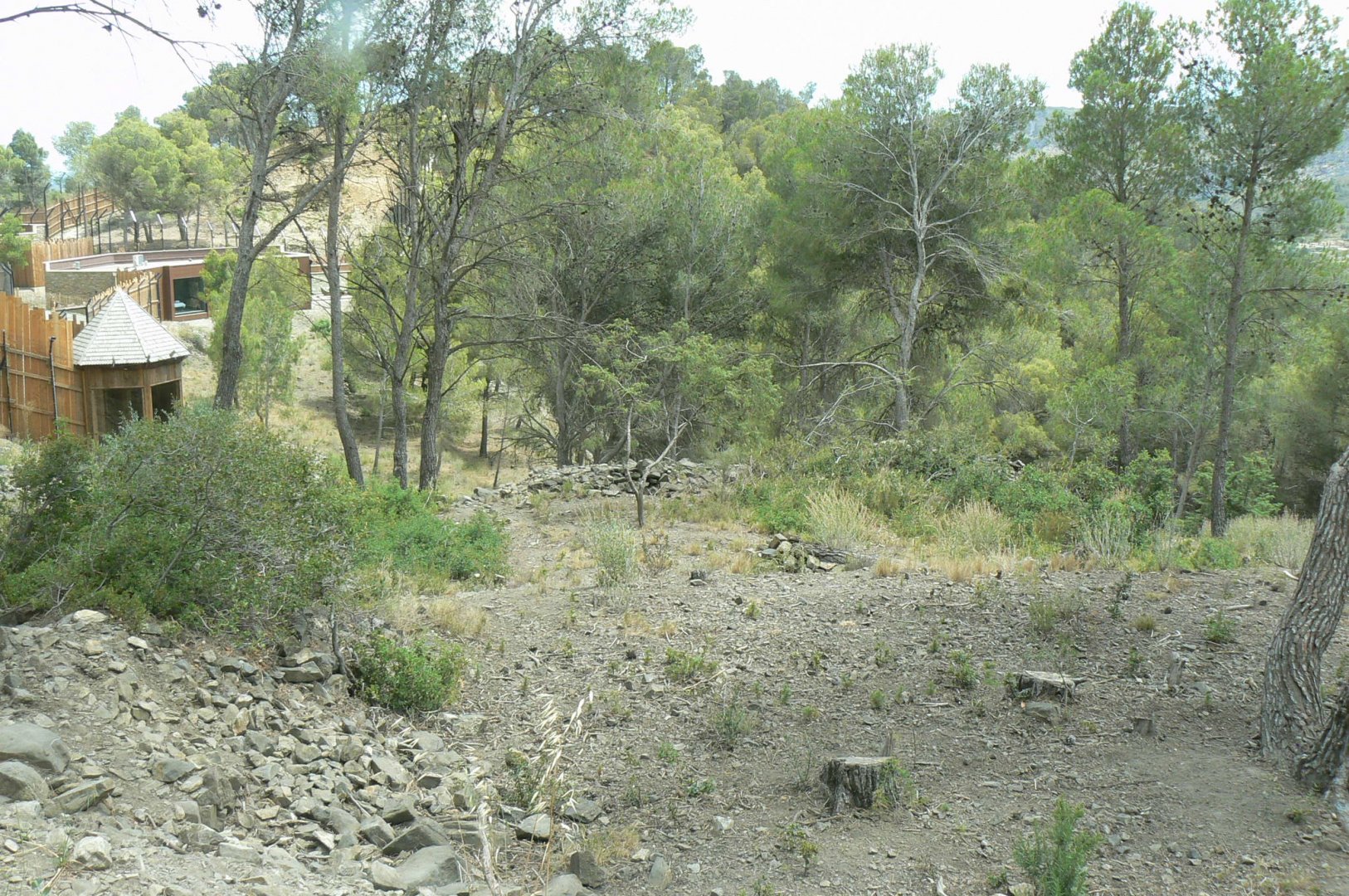 Ecozonia - Third chinese dholes