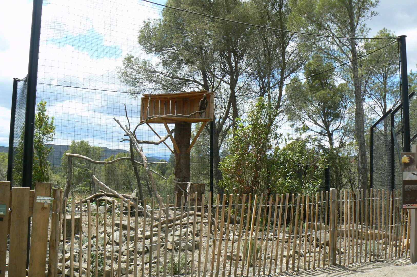 Ecozonia - White-tailed sea eagle aviary
