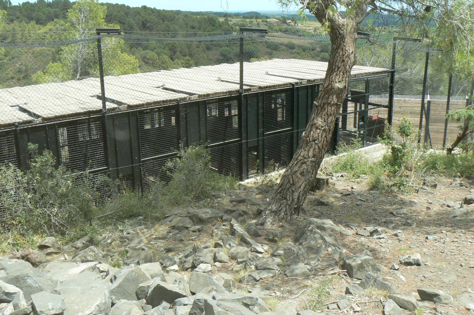 Ecozonia - Wolverines separation rooms