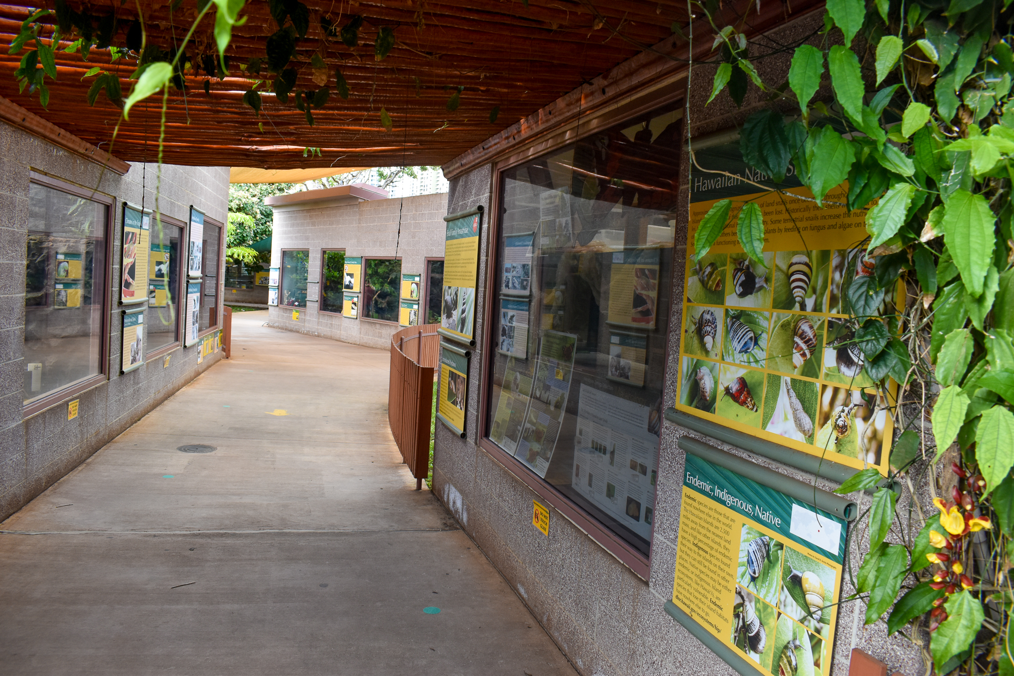 Ectotherm complex pathway