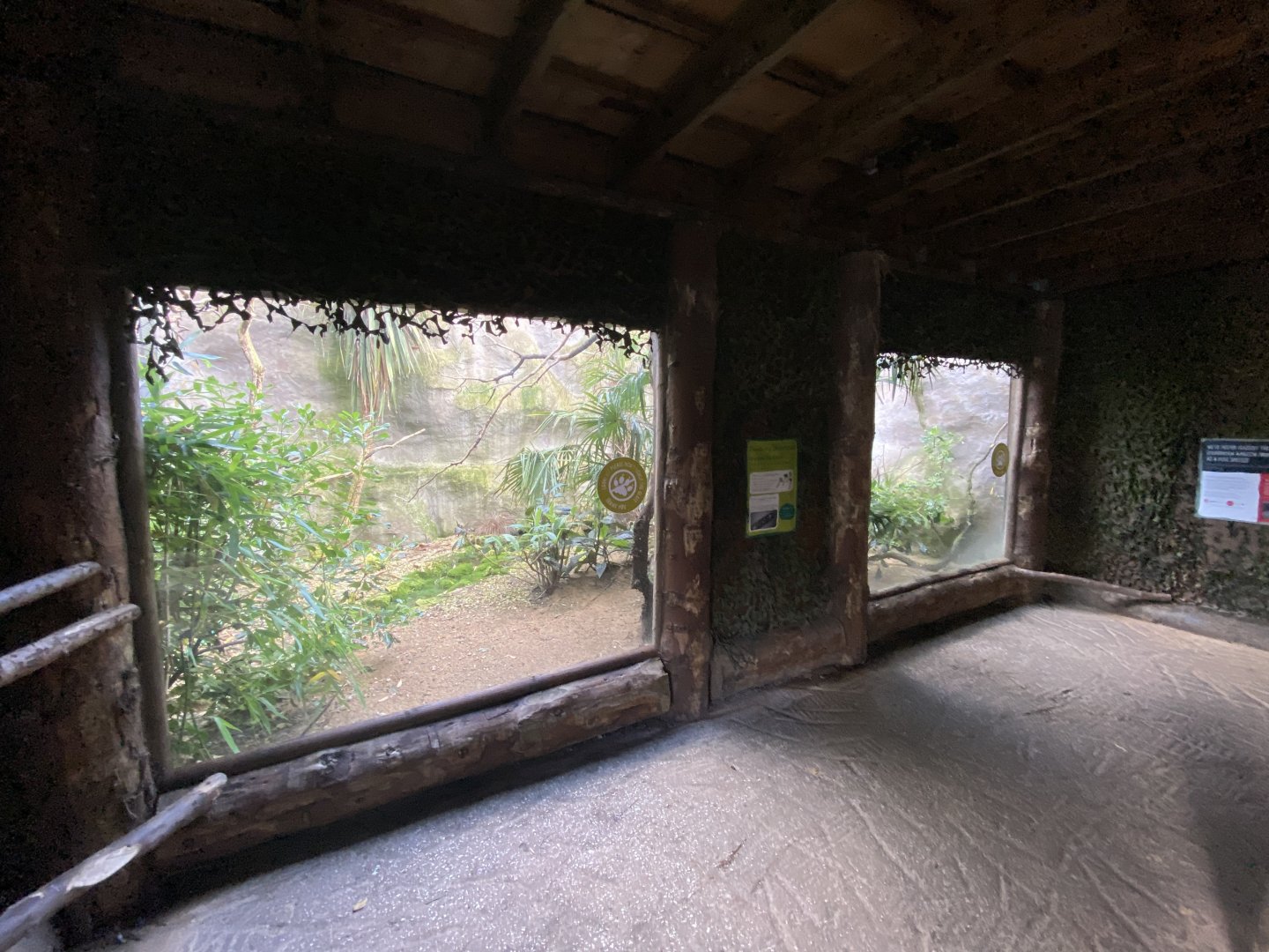 Ecuador amazon parrot enclosure 081020