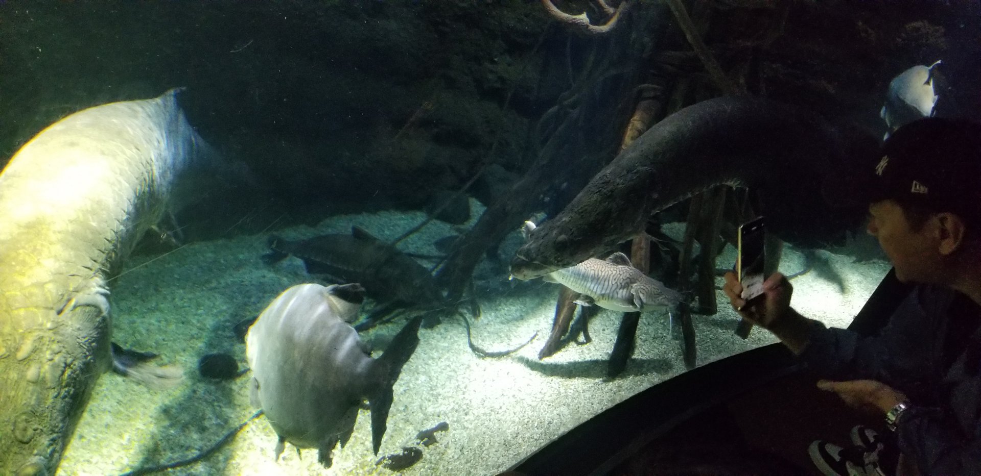 Ecuador Rain Forest Exhibit