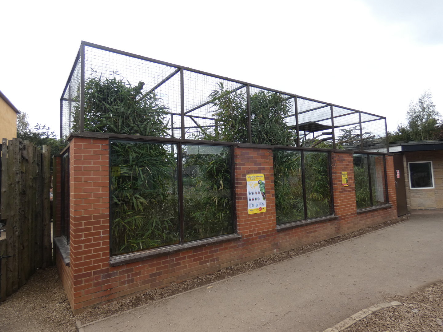 Ecuadorian amazon enclosure
