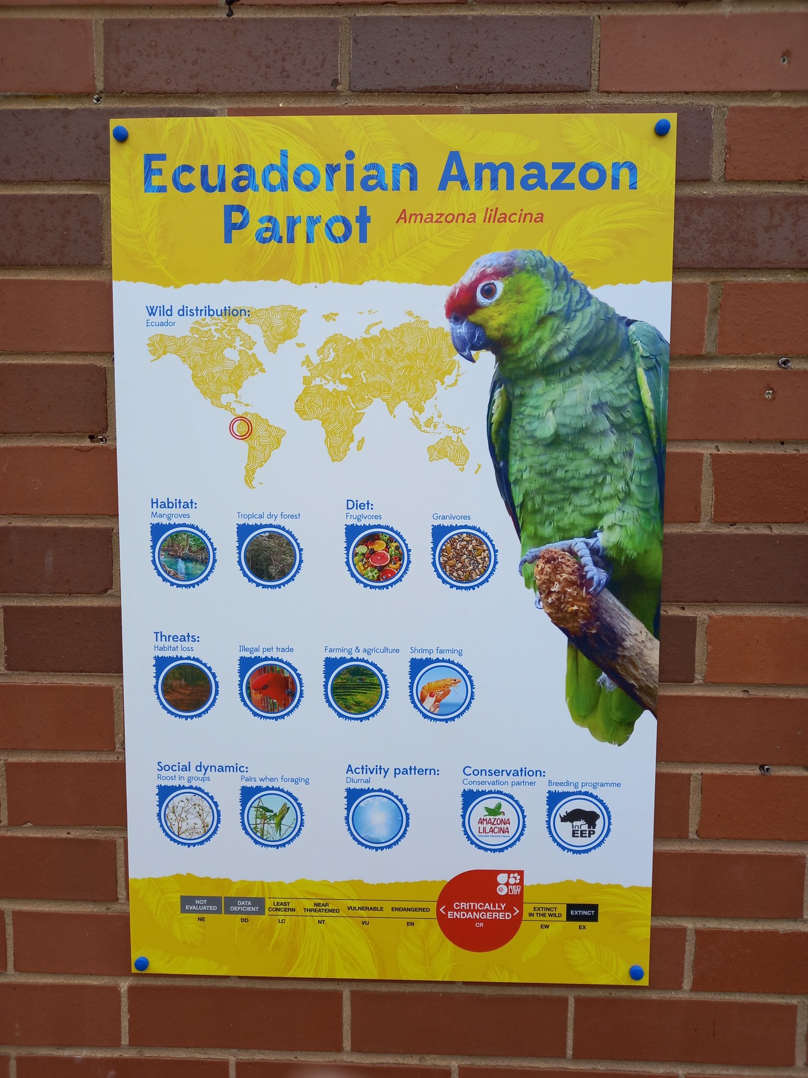 Ecuadorian Amazon Parrot signage