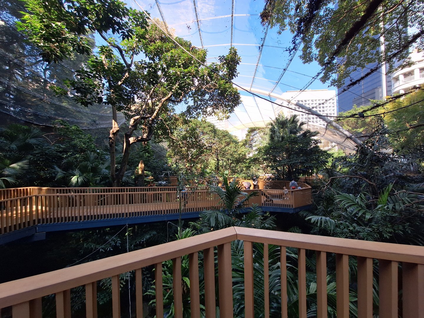 Ed Youde Aviary Overview