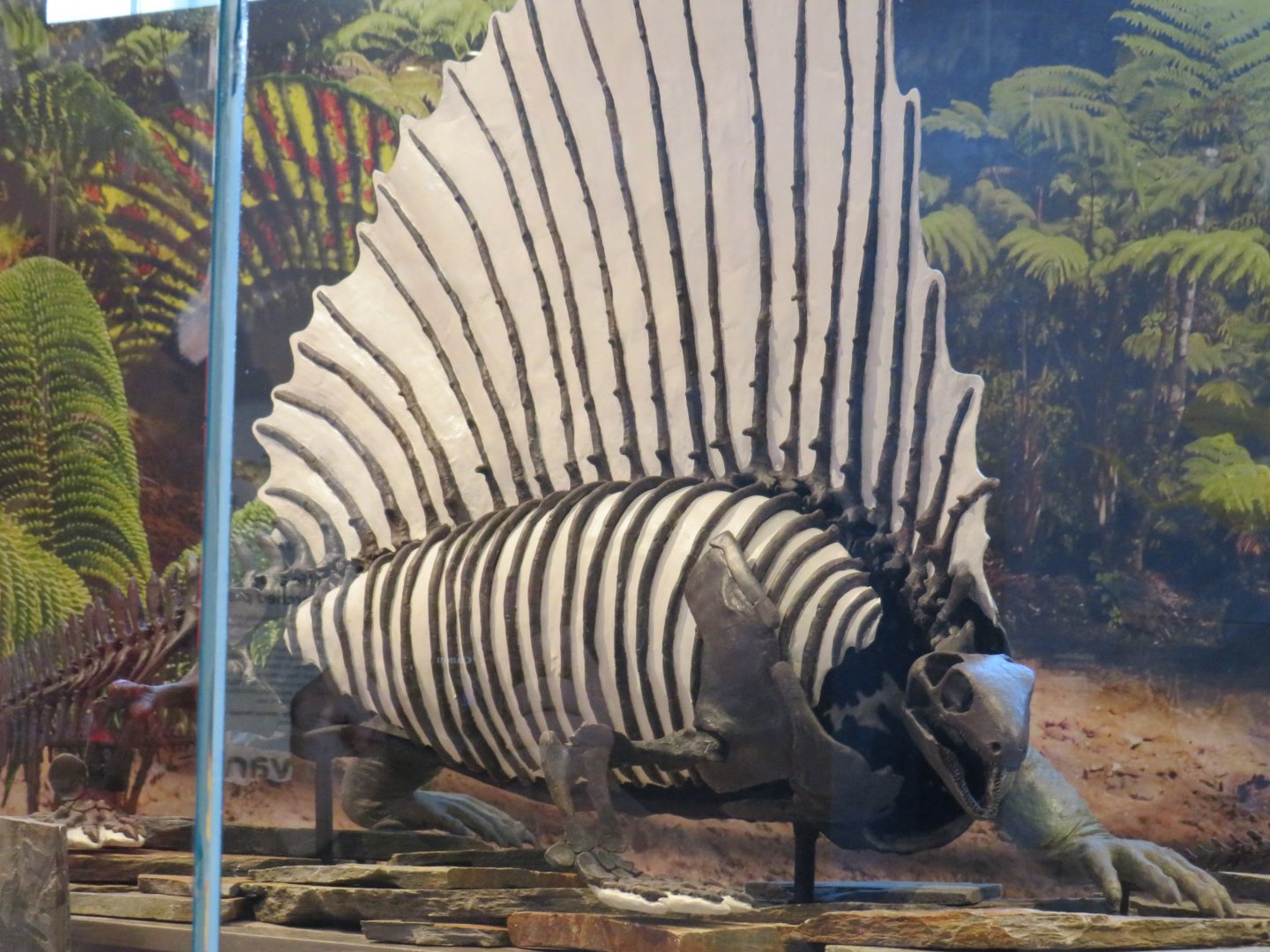 Edaphosaurus