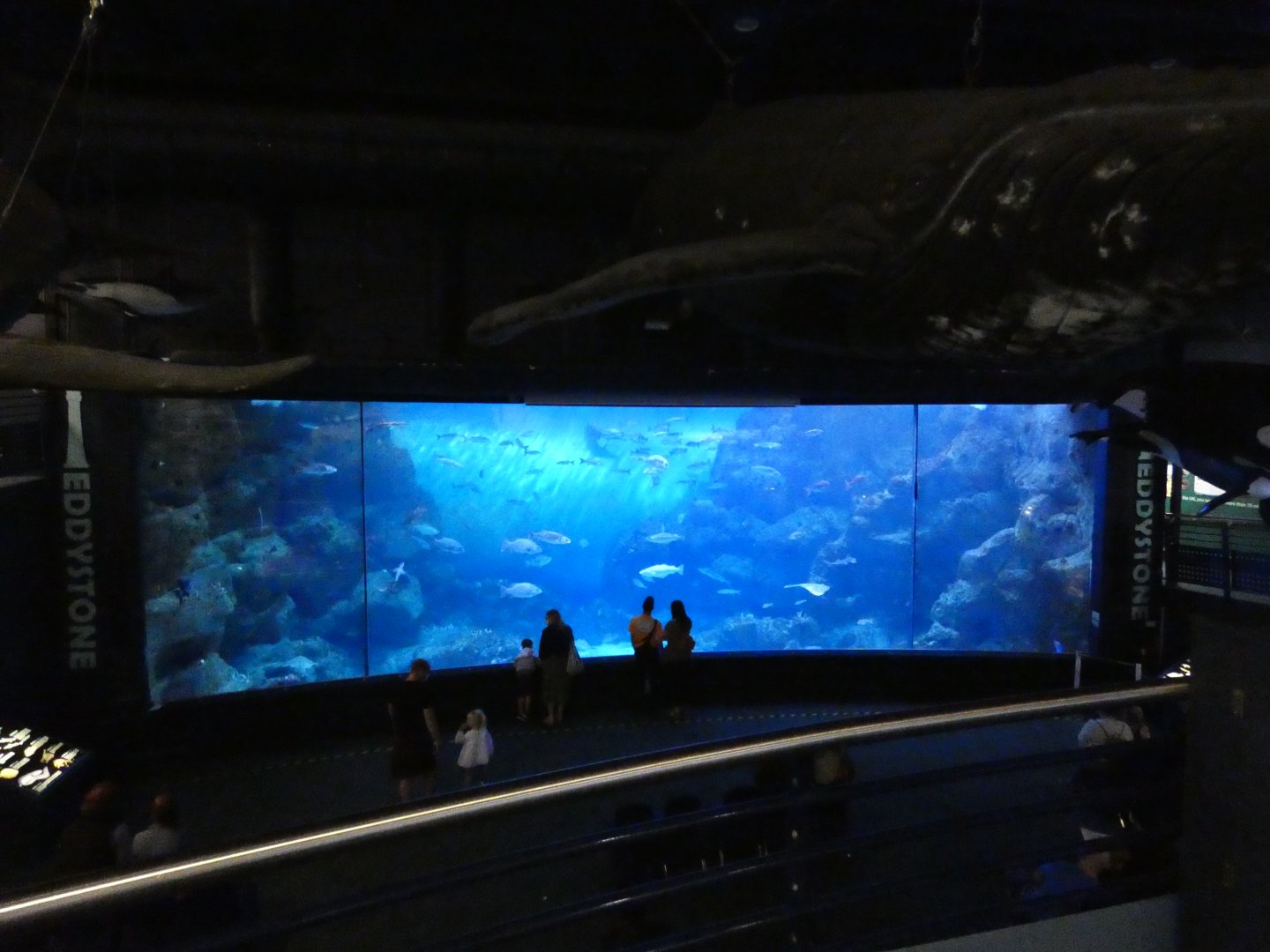 Eddystone Reef exhibit