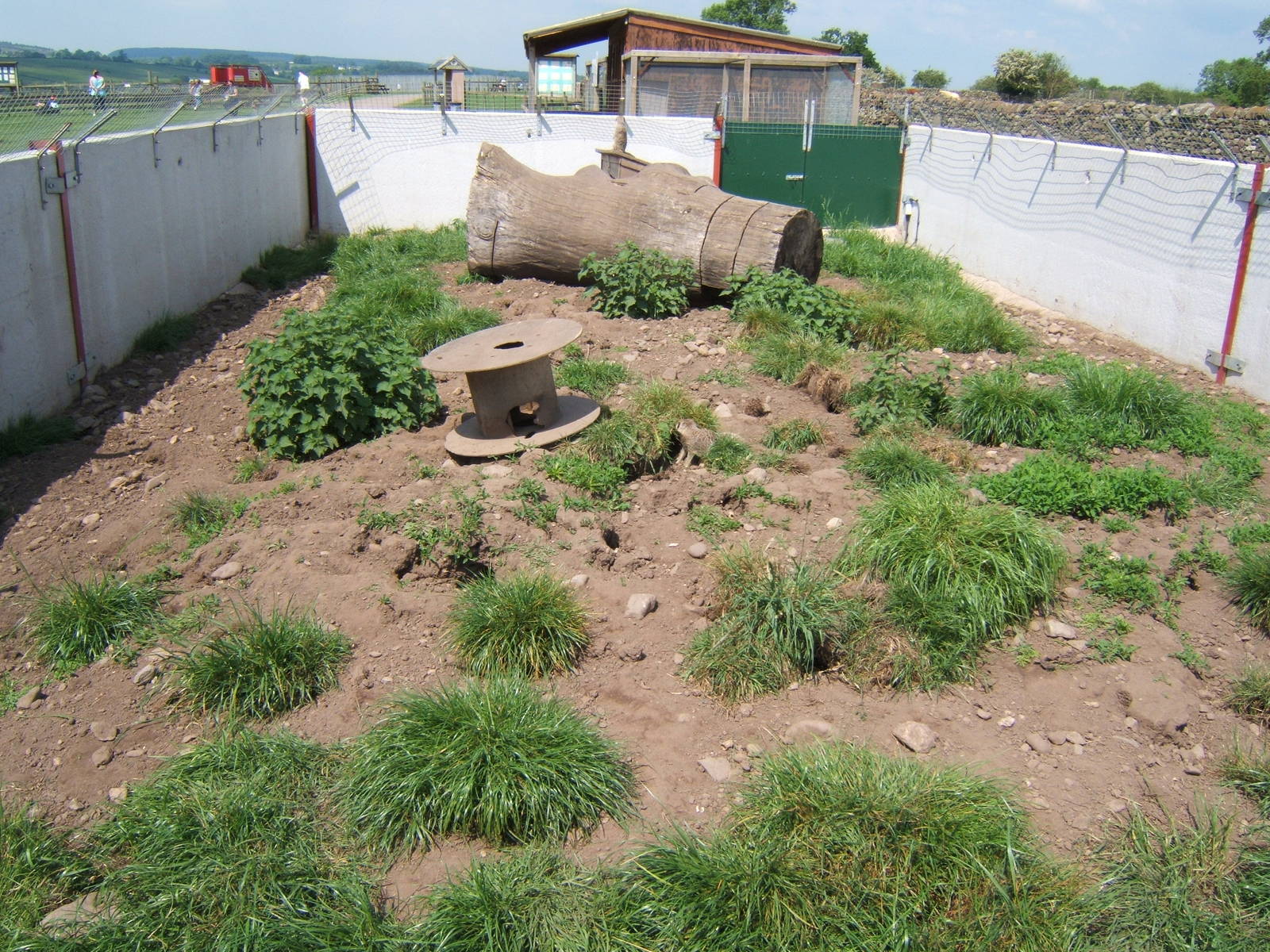 Eden Ostrich World (Now Closed)