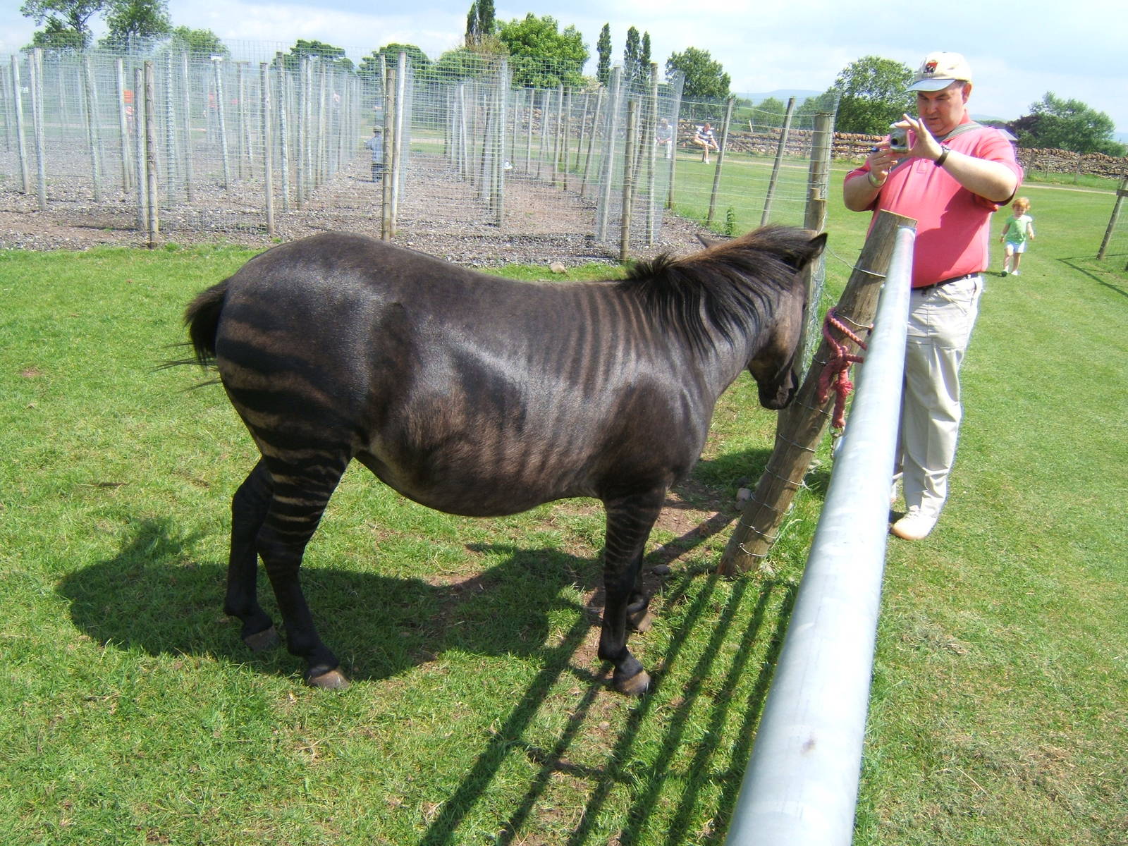 Eden Ostrich World (Now Closed)