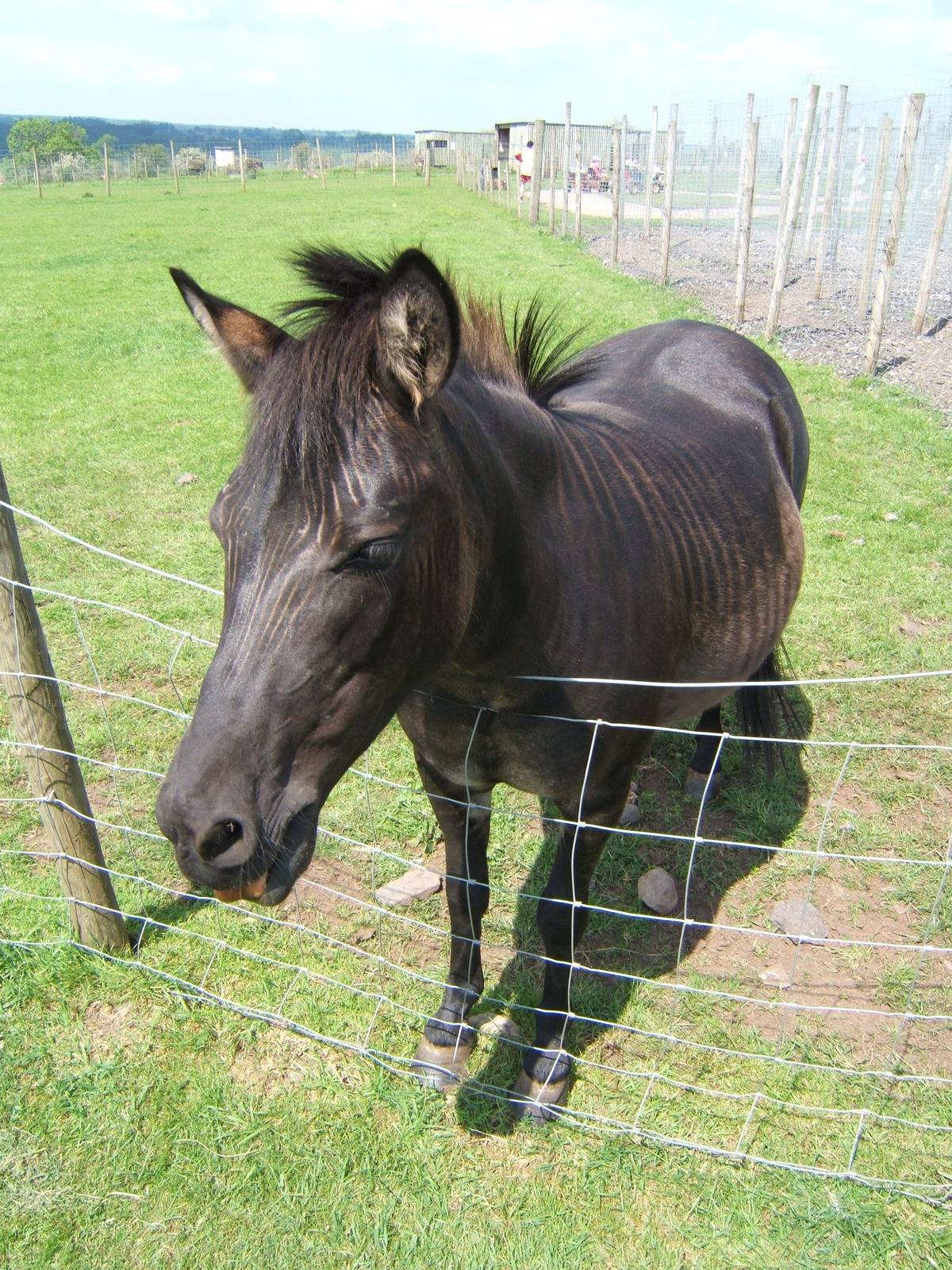 Eden Ostrich World (Now Closed)