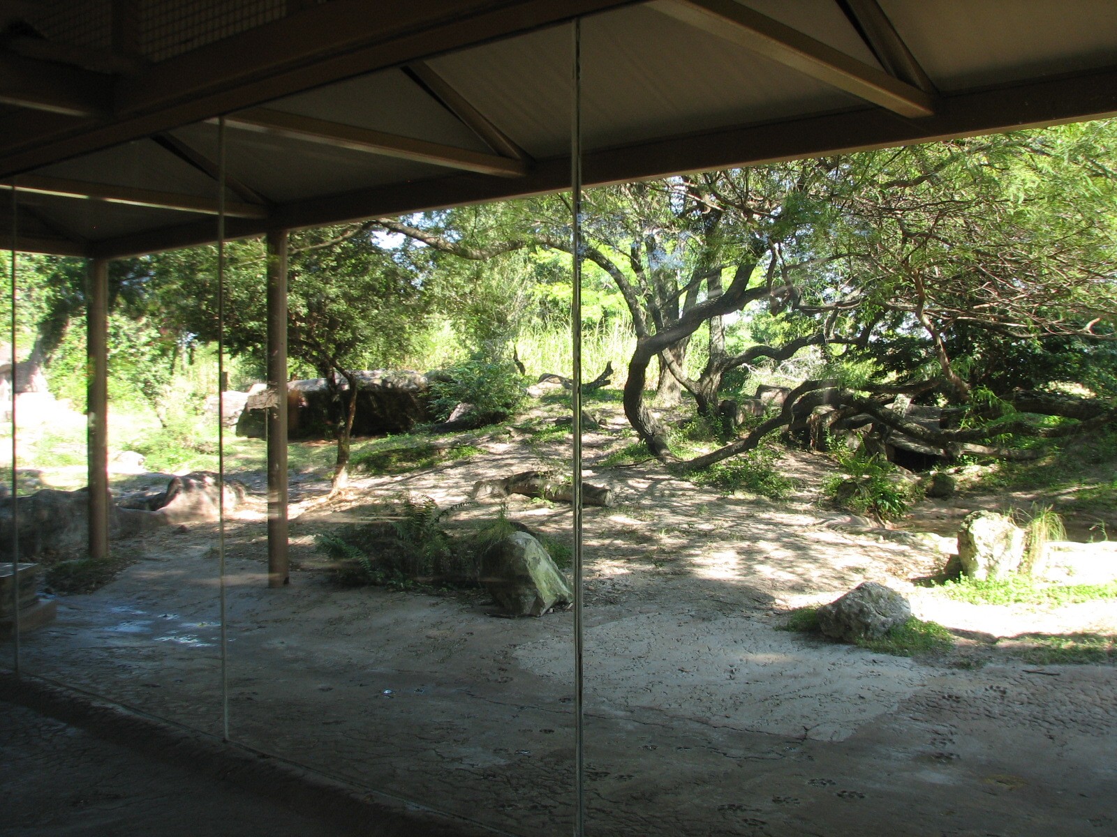 Edge of Africa - African Lion or Spotted Hyena Exhibit - Viewing Area