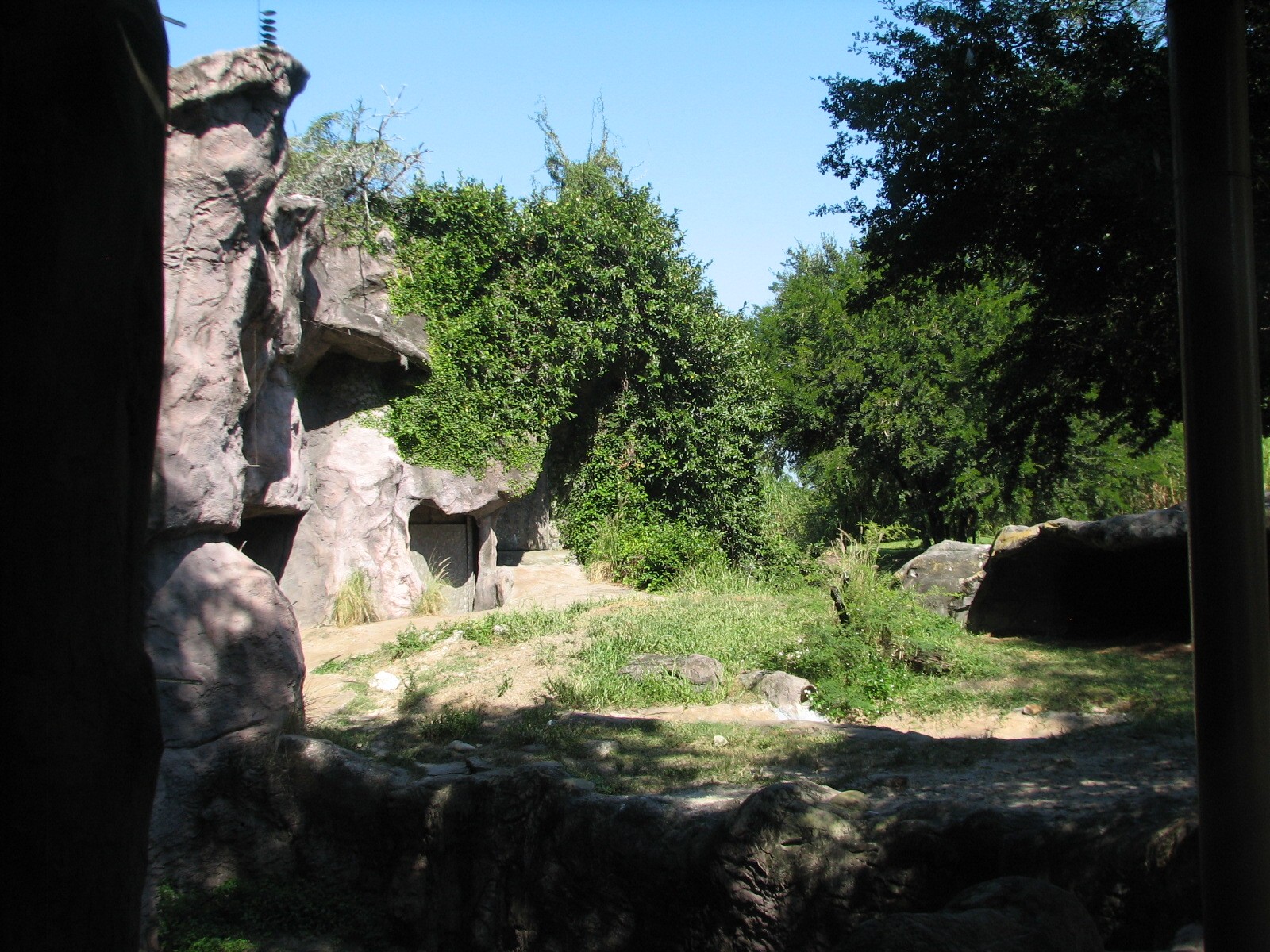 Edge of Africa - African Lion or Spotted Hyena Exhibit