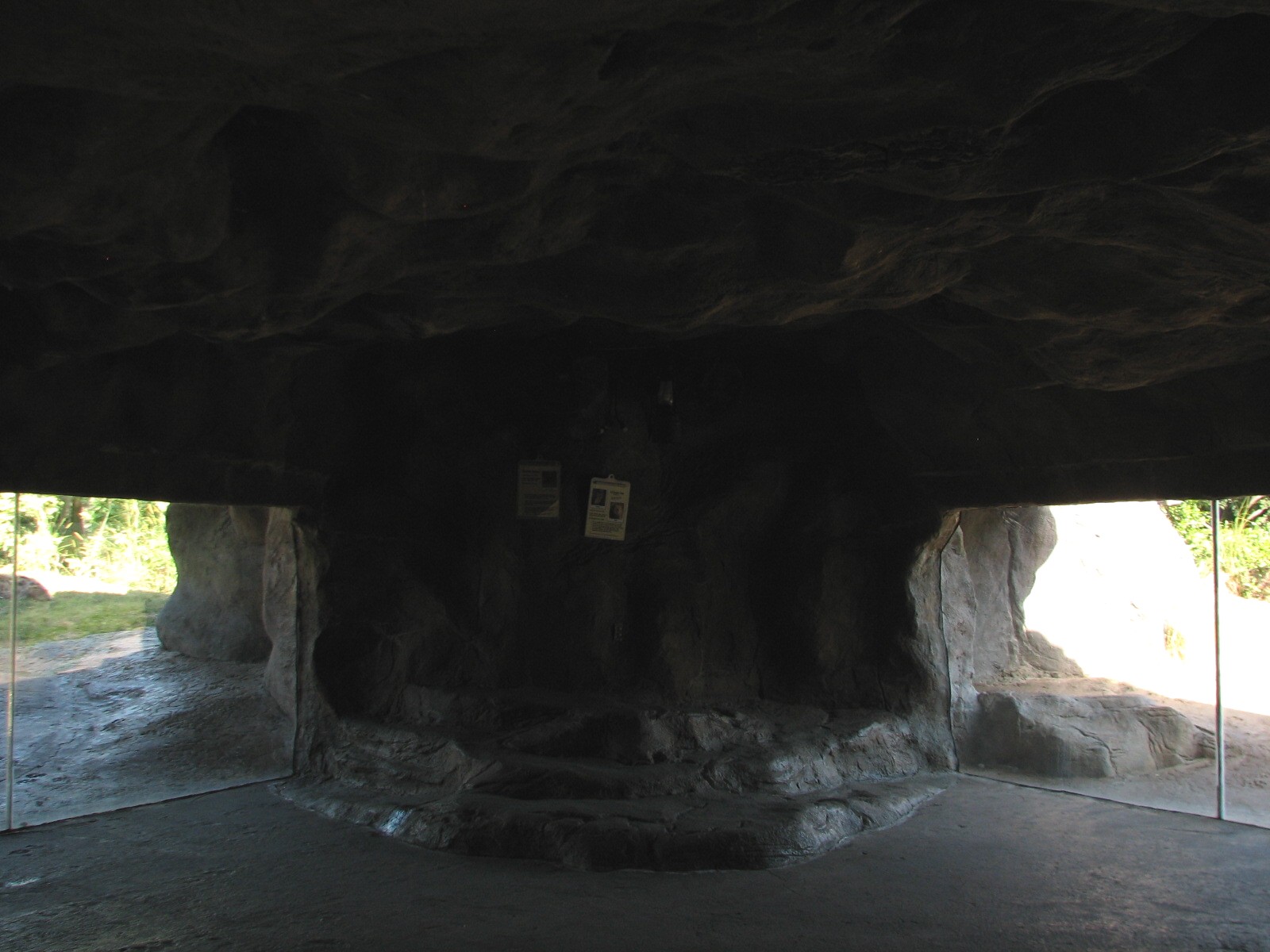 Edge of Africa - African Lion or Spotted Hyena Exhibits - Viewing Cave Inte