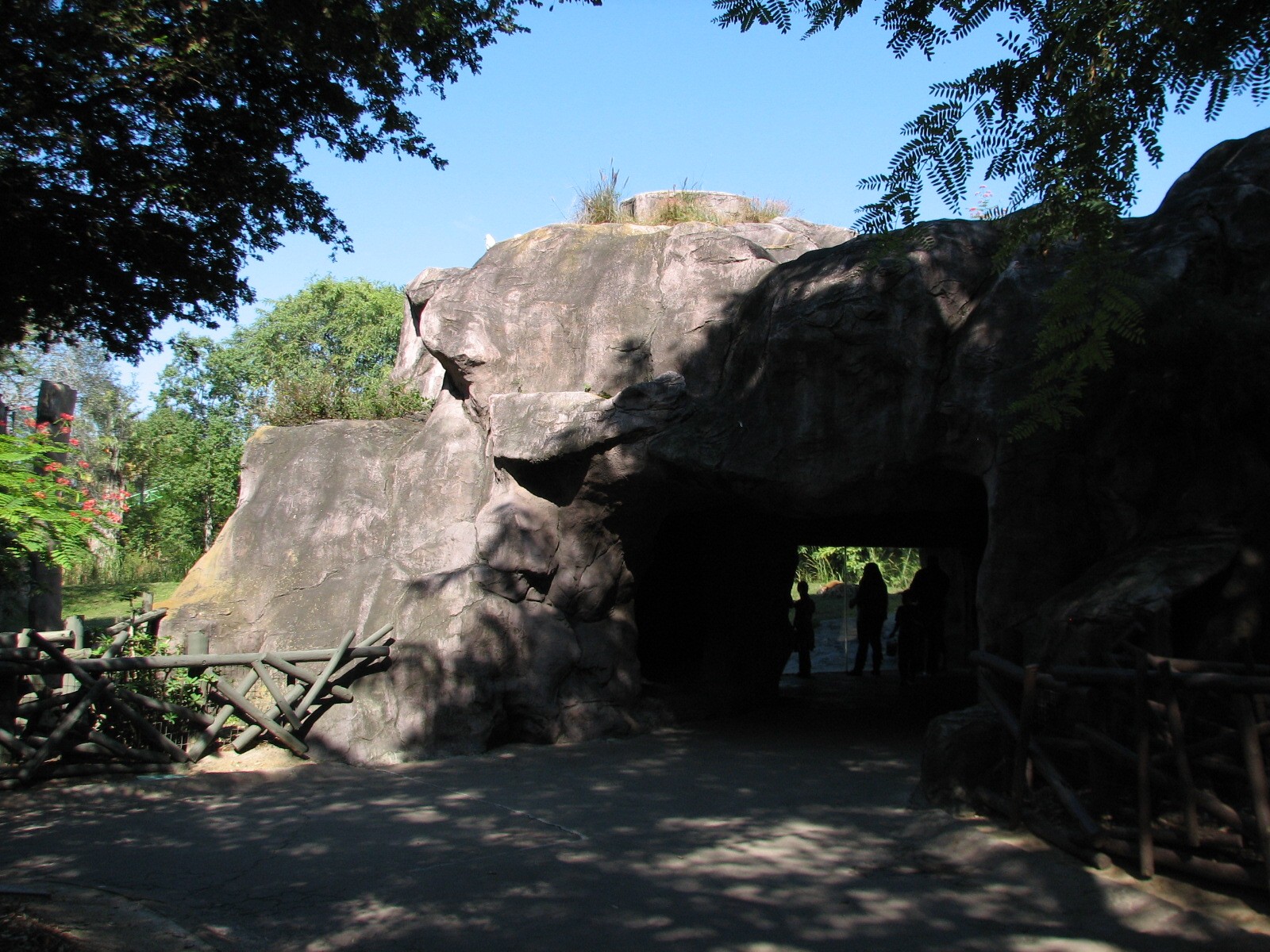 Edge of Africa - African Lion or Spotted Hyena Exhibits - Viewing Cave