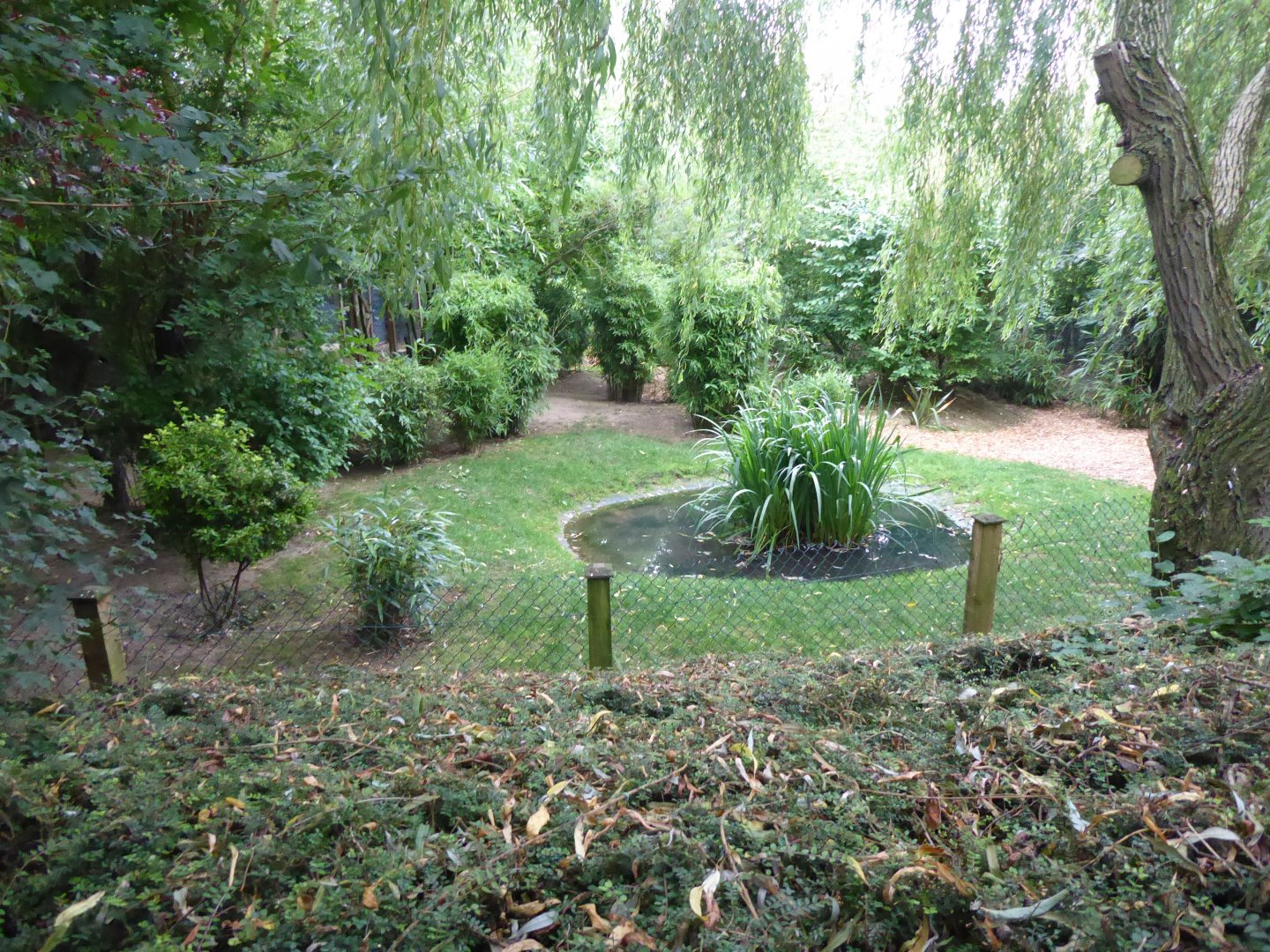 Edge of Africa - Blue crane and Blue duiker exhibit 050819