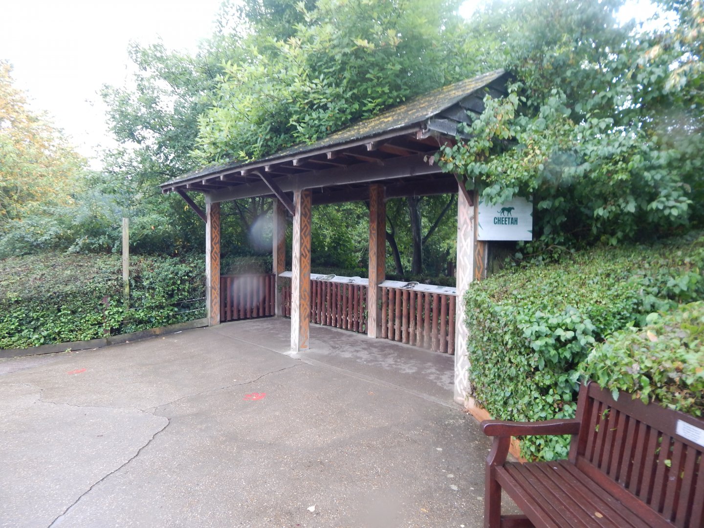 Edge of Africa - Cheetah enclosure viewing area 140921