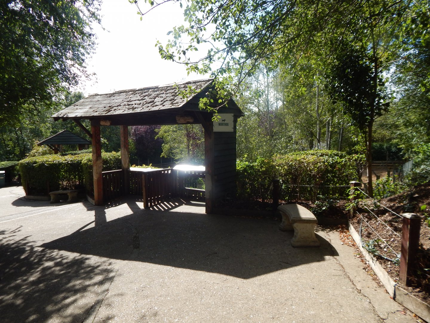 Edge of Africa - Common warthog/Northern warthog enclosure 110925