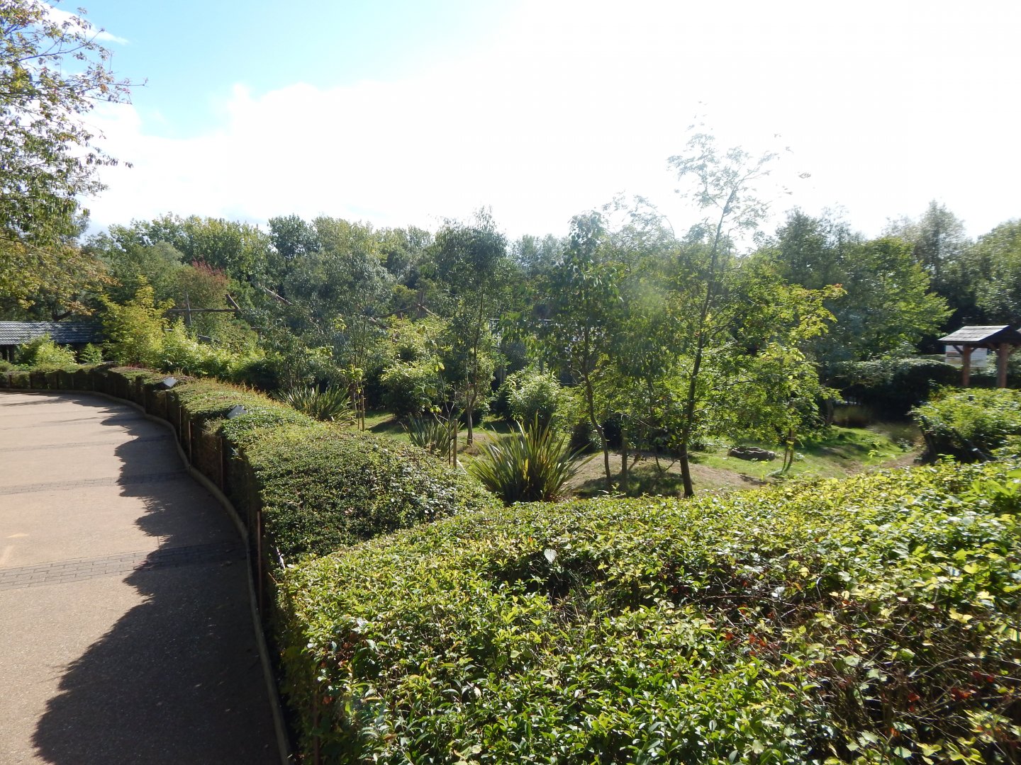 Edge of Africa - Eastern grey crowned crane/Kirk's dik-dik enclosure 110925