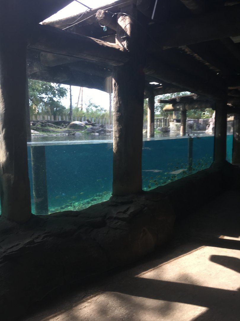 Edge of Africa - Hippo Pool